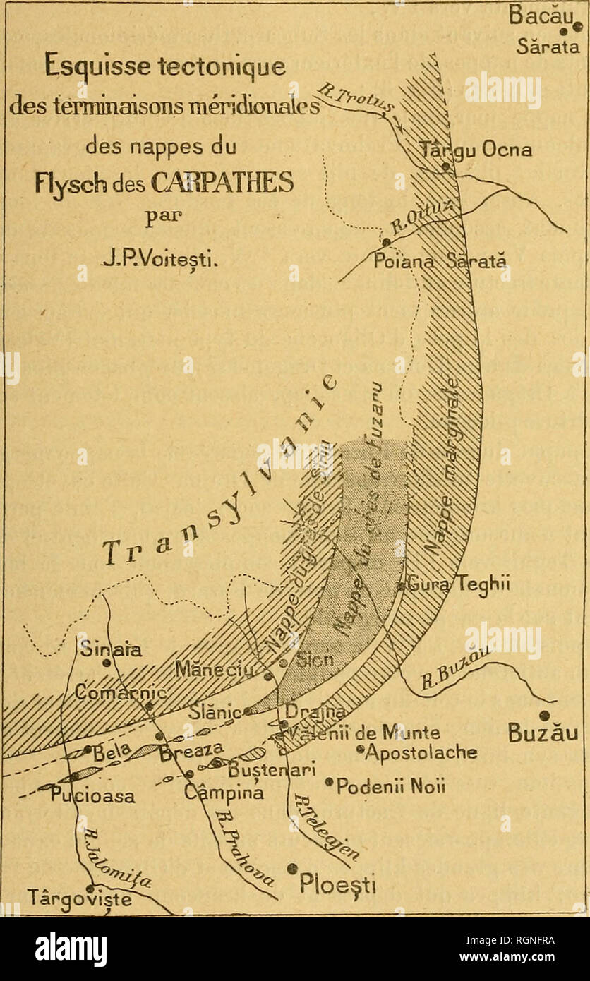 . Bulletin de la Société géologique de France. La géologie. Aritî SEL nu j)ES CAfiPATIlÃSl¨9H prà s verticalement les formations rocheuses de la bordure des nappes. L'emplacement de ces fractures est, par endroit, trà s¨Ã©loig-ué de la bordure actuelle des nappes, à cause de l'érosion et du démantèle- ment de cette dernière. Esquisse tectonique des terminaisoiîs méridionale s"---S Bacà u- Sârata. Mais l'indépendance des massifs rocheux de sel vis-à -vis des nappes de flysch du est plus évidente dans la région des terminaisons méri- dionales des nappes, où, depuis la vallée du Buzà u vers l'W, les Banque D'Images