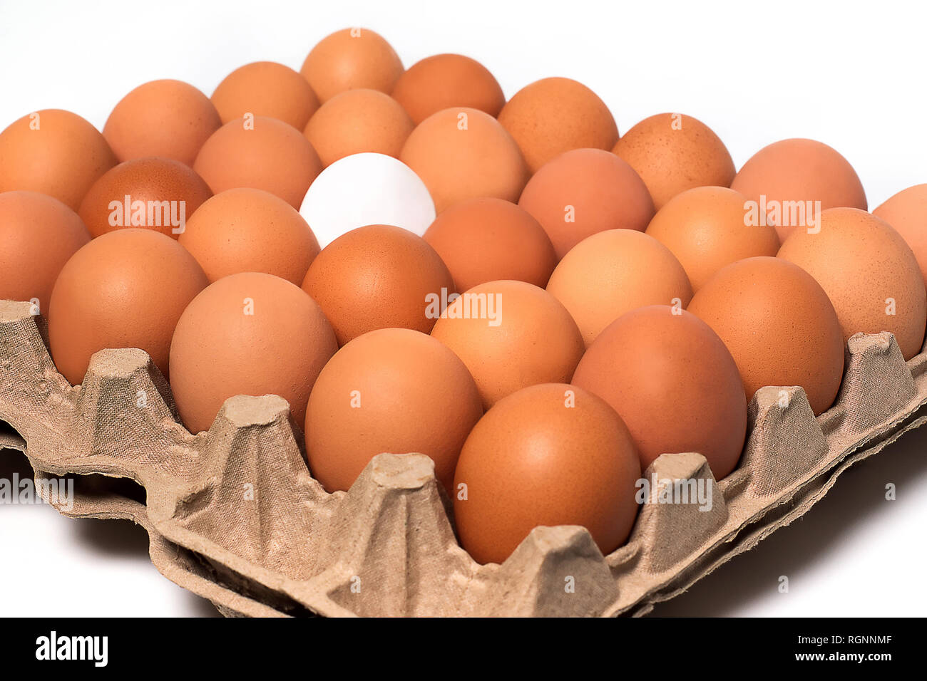 Blanc Brun oeufs de poulet frais en carton contenant isolé sur fond blanc Banque D'Images