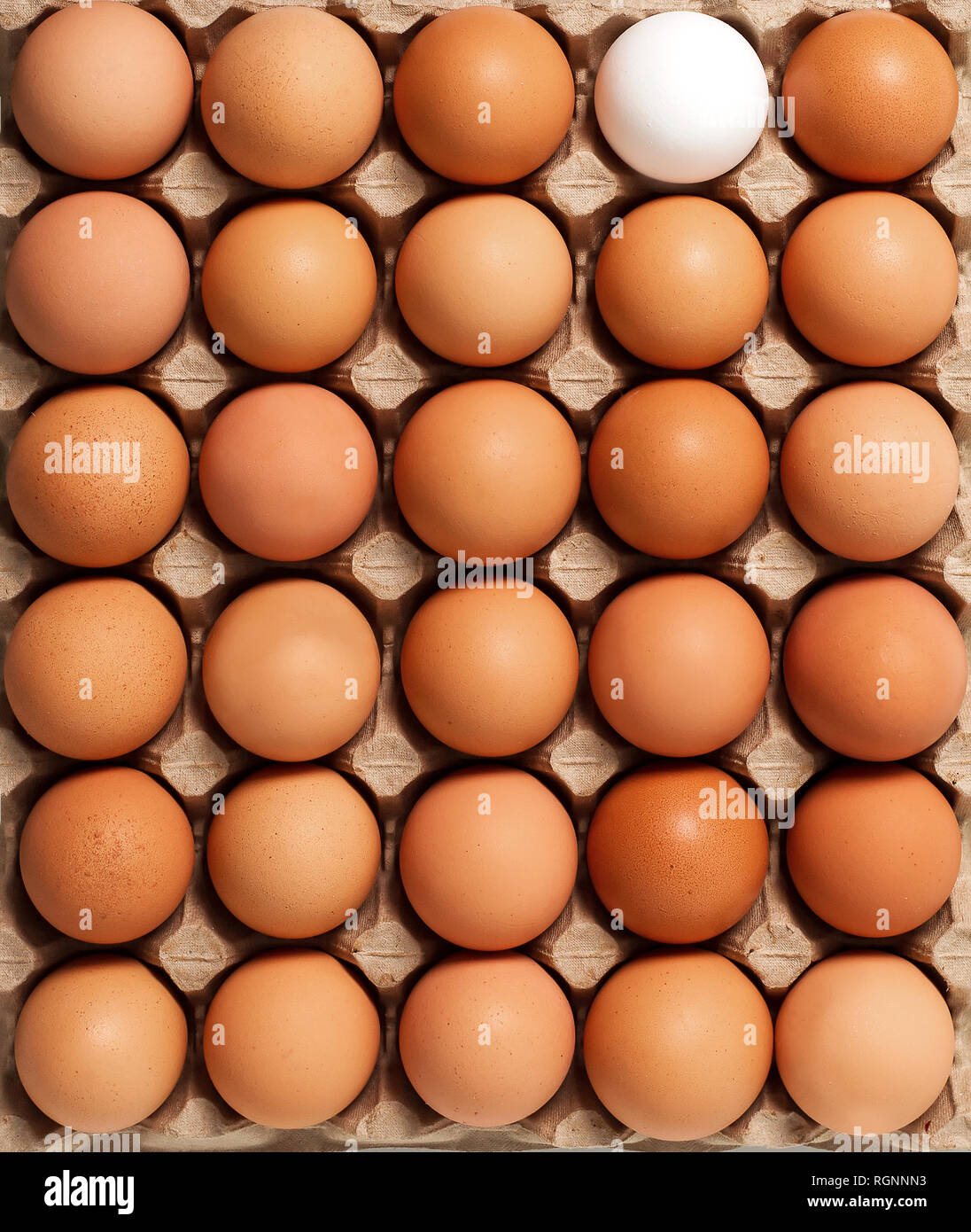 Blanc Brun oeufs de poulet frais en carton contenant isolé sur fond blanc. Vue d'en haut Banque D'Images