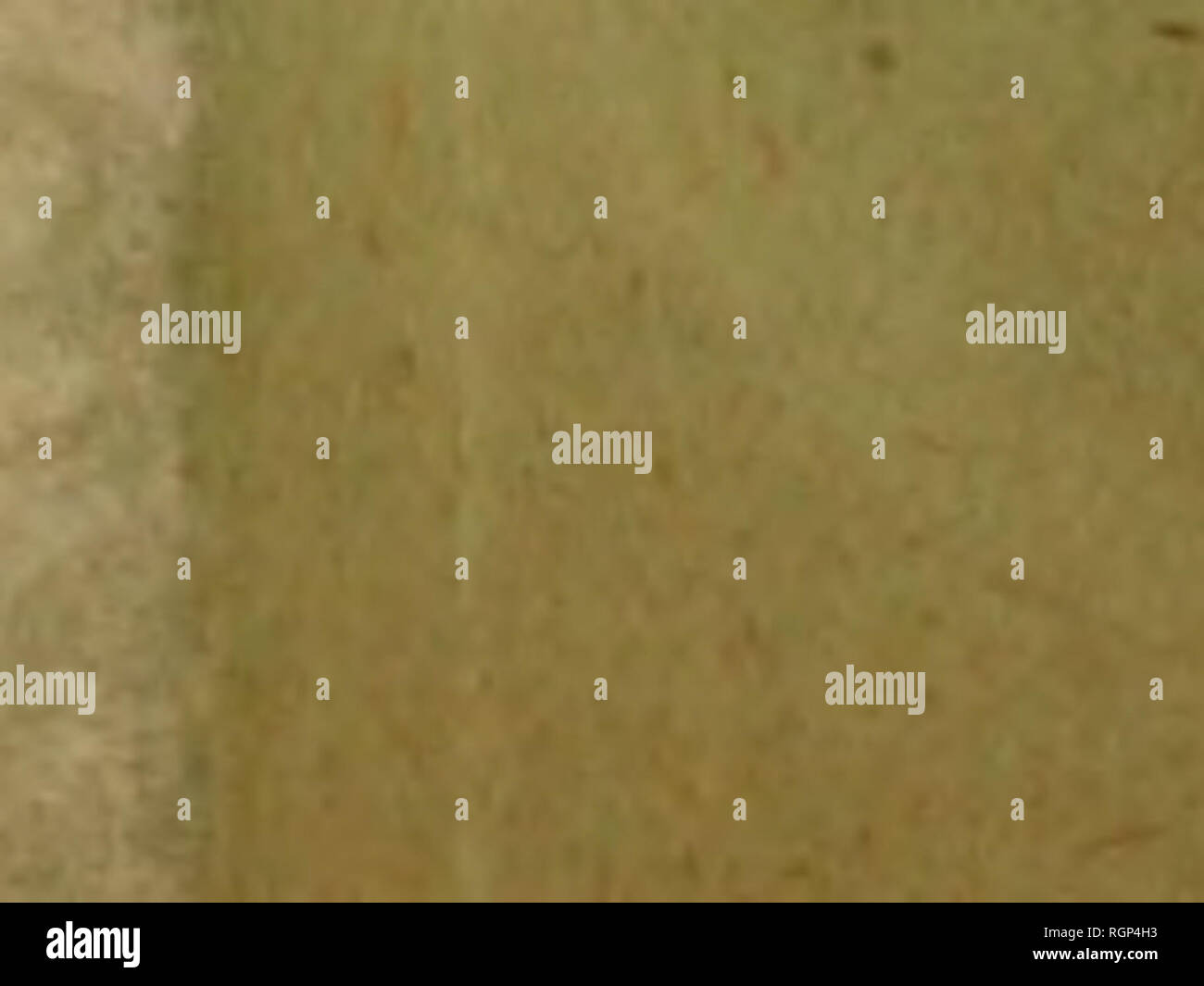 . Bulletin de la SociÃ©tÃ© gÃ©ologique de France. La géologie. MEMOIRES-GEOLOGIE Paraissant irrÃ©guliÃ¨turation depuis 1833, en format 4"- raisin. Prix divers. (50 */0 pour les membres de la-SociÃ©tc.) Extrait du catalogue. Cossmann et Lambert. Etud'ontolÃ palÃ©gique et stratigraphique sur le terrain oli- gocÃ¨ne marin des environs d'Etampes. 88 p., tabl. J,6pl 10 Â" Ph. Thomas. Recherches stratigraphiques et palÃ©ontologiques sur quelques pour- unies d'eau douce de l'AlgÃ©rie. 54 p., J'labl., 5 pi. 4 Â" Sossmann. Contribution Ã l'Ã©tude de la faune de l'Ã©tage bathonien en France (Gastropodes Banque D'Images