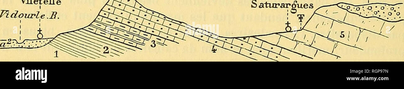 . Bulletin de la SociÃ©tÃ© gÃ©ologique de France. La géologie. 518 F. ROMAN 20 nov. typiques au sud du village de Teyran, et parfois exploitÃ©s comme matÃ©riaux d'empierrement. Ces calcaires laissent apercevoir dans leur pÃ¢te une infinitÃ© de dÃ©bris organiques triturÃ©s, parmi lesquels dominent les fragments des CrinoÃ¯de spathiques des. Au premier aspect ces divans rappellent, par leur faciÃ¨s pÃ©trographique subcoralligÃ¨, certains calcaires de l'Urgonien nes du DauphinÃ©. Sur observer, rarement il est vrai, dans ces couches, des Janira atava du groupe, ainsi que des articles de NÃ©rinÃ©es indÃ©terme Banque D'Images