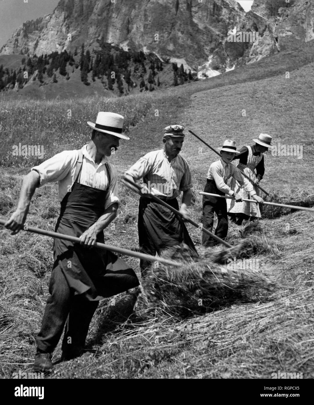 Les travaux des champs, 1955 Banque D'Images