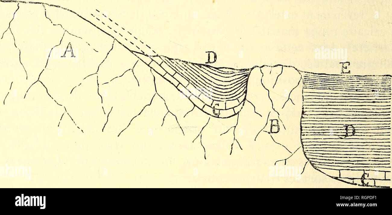 . Bulletin de la SociÃ©tÃ© belge de gÃ©ologie, de palÃ©ontologie et d'hydrologie. La géologie, la paléontologie. i8o Ã. DUPONT. Â Les calcaires et schistes la maniÃ¨re dont je me figure la disposition de ces agencements compliquÃ©s, est reprÃ©sentÃ©e dans le Schüller©ma suivant. FlG. i. Schüller â©ma de la CarriÃ¨re du Nord et de ses abords dans le RÃ©cif des CarriÃ¨res.. A. Calcaire rouge à Stromatactis, lecouvert de calcaire gris Ã Pachystroma¨,de la carriÃ re du Nord. B. Calcaire rouge à Stromatactis. C. Calcaire noduleux. D. schistes verts noduleux. E. Schistes noirs Cardium. palmatiim Ã La prÃ©sence du rÃ Banque D'Images