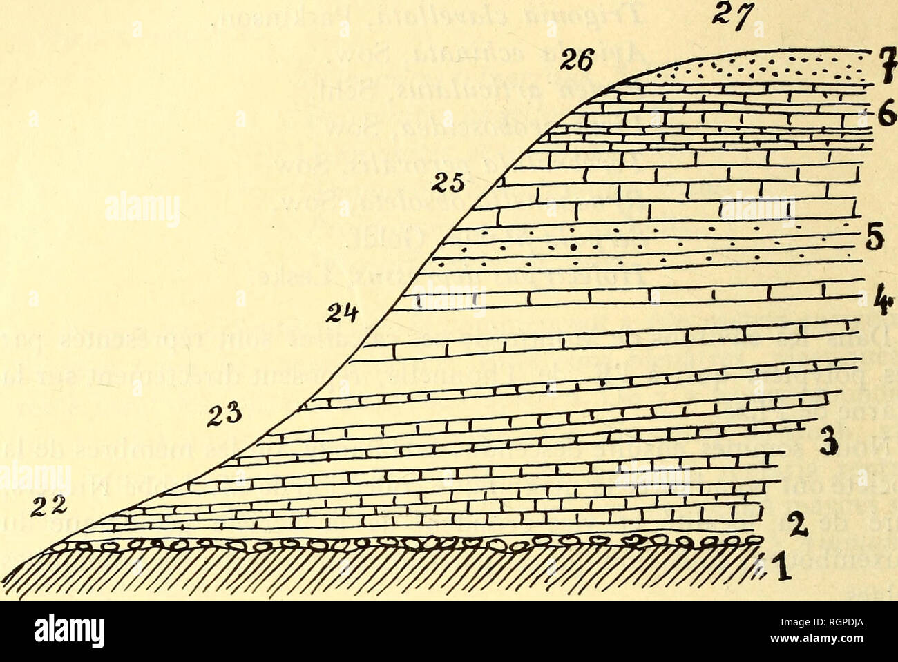 . Bulletin de la SociÃ©tÃ© belge de gÃ©ologie, de palÃ©ontologie et d'hydrologie. La géologie, la paléontologie. Il8 C. DORMAL. - EXCURSION DANS LES TERRAINS JURASSIQUE. Fig. 3. 1. Schistes de Mondrepuits. 5. Calcaire sableux de Florenville. 2. ¨GrÃ s de Rossignol. 6 calcaire sableux d'Orval 3. Marne de Jamoigne. 7. ¨GrÃ s de Virton. 4. Marne de Warcq. La limite est formÃ©e par une lumachelle Ã Pecten disciformis. C'est un banc trà s¨¨dur, entiÃ turation pÃ©tri de fossiles : bélemnites acutus, Miller. Ammonites ft. Bucklandi, Sow. Pinna diluviana Schl. Aratus Nautilus, SCHL. Cardinia ail. Listeri, Sow. Li Banque D'Images