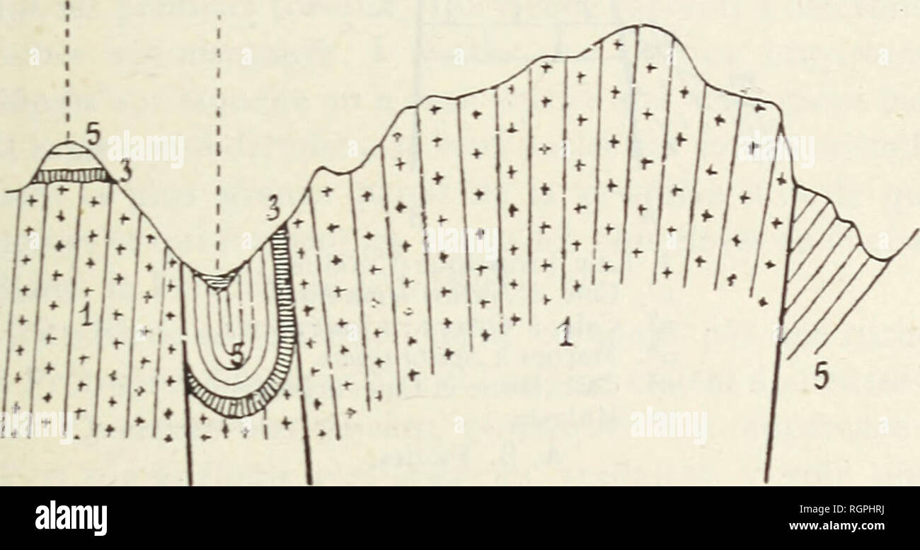 . Bulletin de la Société Belge de géologie, de Paleontologie et d'Hydrologie. SÃANCE DU 3o Mars 1890 63 expliquÃ© la disposition des Alpes de Glaris par une faille de glissement trà s¨oblique, il s'empressa d'adopter cette maniÃ¨re de voir (i). Dans le cours de ses Ã©tudes sur les failles, Lory avait Ã©tÃ© amenÃ© Ã examiner les relations des divans relativement rÃ©centres avec des divans plus anciennes sur lesquelles elles reposent en stral Ã®ication discordante. Ainsi, au sommet de l'Aiguille Rouge, on voit le Lias en couches horizontales, tandis que dans la vallÃ©e de Chamounix, ce terrain Banque D'Images