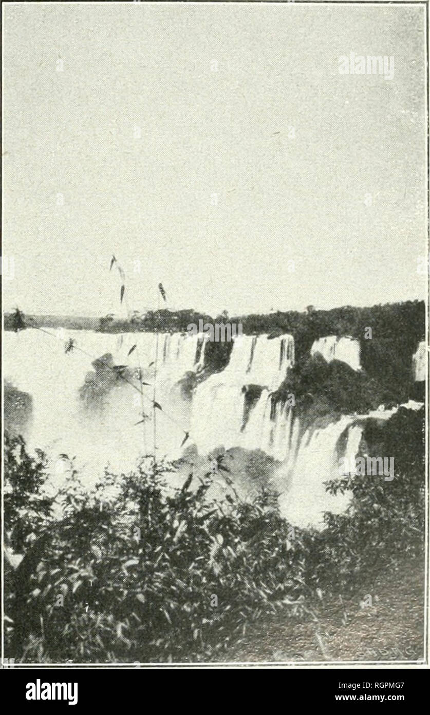 . Bulletin de la Société botanique de Genve. Les plantes ; les plantes -- Suisse. (235) R. CHODAT. LA VÉGÉTATION DU PARAGUAY ! ¨utrieules qui se libÃ©ralement latÃ louer, ce qui permet leur fixation contrad durant la coloration la cl du matÃ©riel (fig. 188, 189, 191 Â". Par la production de ces cellules qui, sans se diviser, traversent tout l'espace compris entre les deux assises du tÃ©argument interne et par la dilatation de ce dernier, dans la rÃ©gion moyenne, se constitue un espace relativement grand. Sur un appelÃ© celle rÃ©gion Â" pseudo-sac embryonnaire Â". A1 et Magnus ? En ont fait mention et sur Banque D'Images