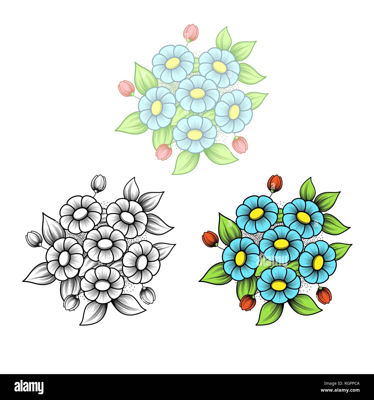 Ensemble de trois différents bouquets de fleurs Daisy isolé sur fond blanc Illustration de Vecteur
