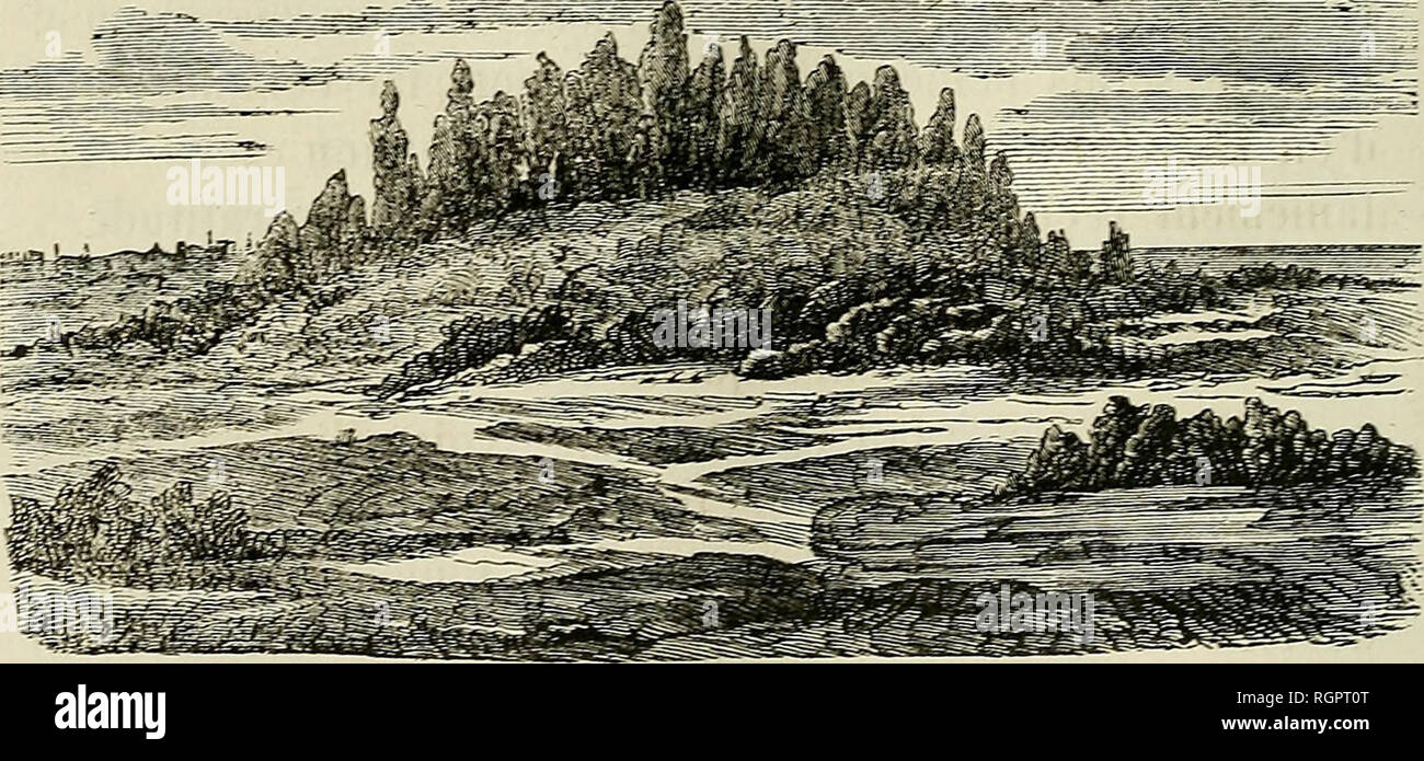 . Bulletin de la SociÃ©tÃ© impÃ©riale des naturalistes de Moscou. La science, la biologie, la géologie, l'histoire naturelle. - 428 - telles sont les idÃ©es et les espÃ©rances sous l'influen- ce desquelles j'ai eu la joie de livrer mon article Ã la publicitÃ©. 11 ne faut pas oublier que chez nous, en Russie, mon travail est un des premiers, et mÃªme unique pour les matÃ©riaux en question. La Russie est vaste, elle con- tient dans son sein beaucoup de trà©sors anthropologi- ques, ainsi que d'autres ; mais nous manquons d'enq- tigateurs. Nous devons souhaiter Ã notre patrie d'investigateurs plus WaldaÃ¯, Juil Banque D'Images