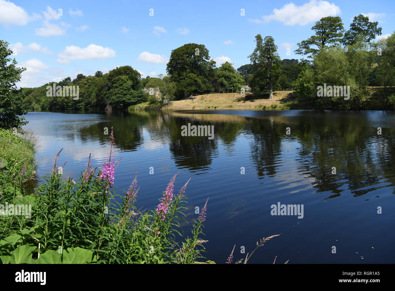 Sentier le long de la rivière Tyne, Hexham, Northumberland, Angleterre, Royaume-Uni. Photo de la rivière à partir du chemin le long de parcours de golf de Hexham. Banque D'Images