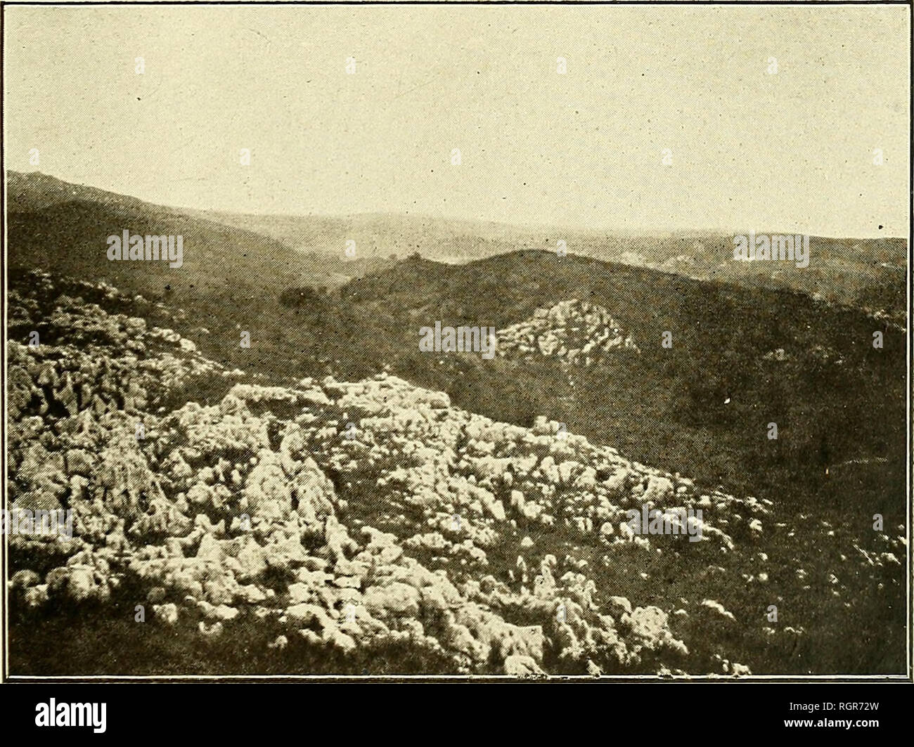 . Bulletin de la SociÃ©tÃ© d'histoire naturelle de Toulouse. L'histoire naturelle. Iig. 1. - Santander. Â La Magdalena (palais du roi Alphonse XIII), en cons- truction quand la photographie a Ã©tÃ© faire levier). - Falaises calcaires de garga- siens containing en abondance de grands SPÖ©cimens de Pseudoloucasia santanderensis DouvillÃ Polyconites H.© et Verneuili Bayle.. Fig 2. Â Udias, environs de la doline de Pilurgo. Contraste entre les dolomies mÃ©tallifÃ¨res de couleur foncÃ©e et les calcaires à Rudistes gar- gasiens, de couleur claire, lapiez de formants. Veuillez noter que ces images sont extraites de Banque D'Images