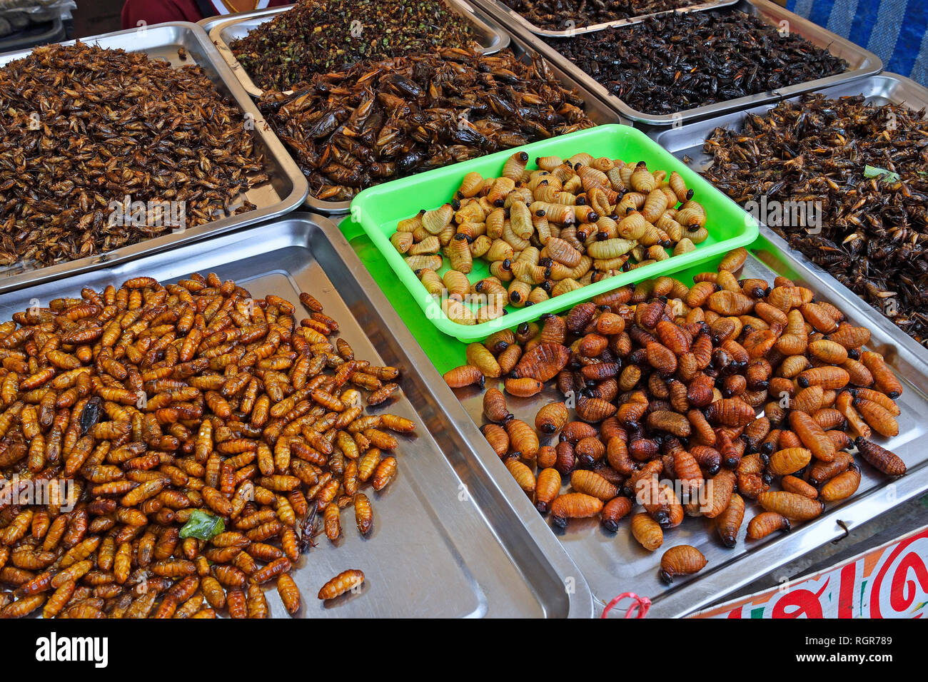 En friture les sauterelles, les chenilles, les cafards, Chillva Marché, Phuket, Thaïlande Banque D'Images