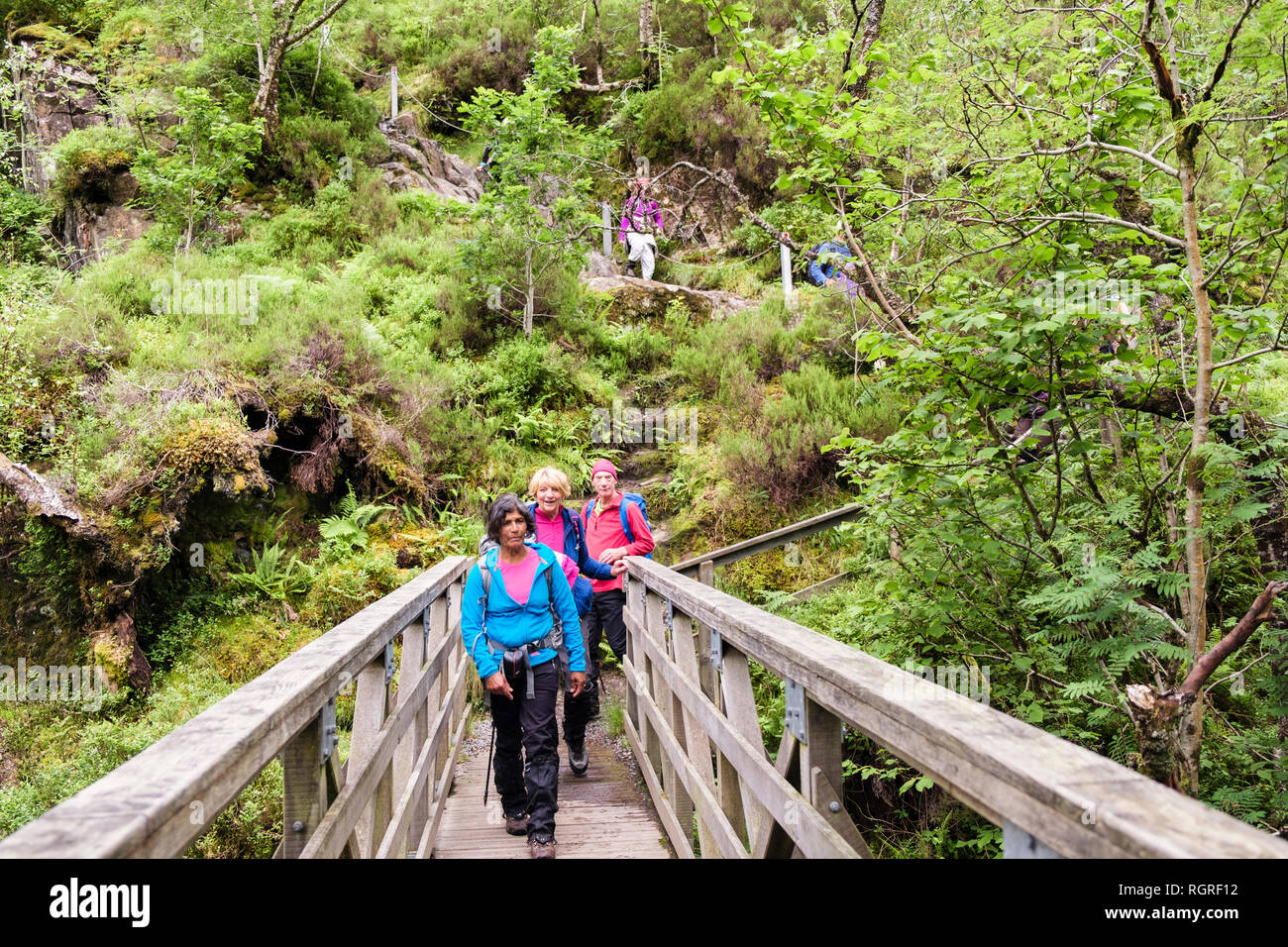 Les randonneurs de la haute passerelle de franchissement de la rivière Coe Vallée perdue ou Coire Gabhail. Col de Glen Coe, Glencoe, Lochaber, Highland, Scotland, UK Banque D'Images