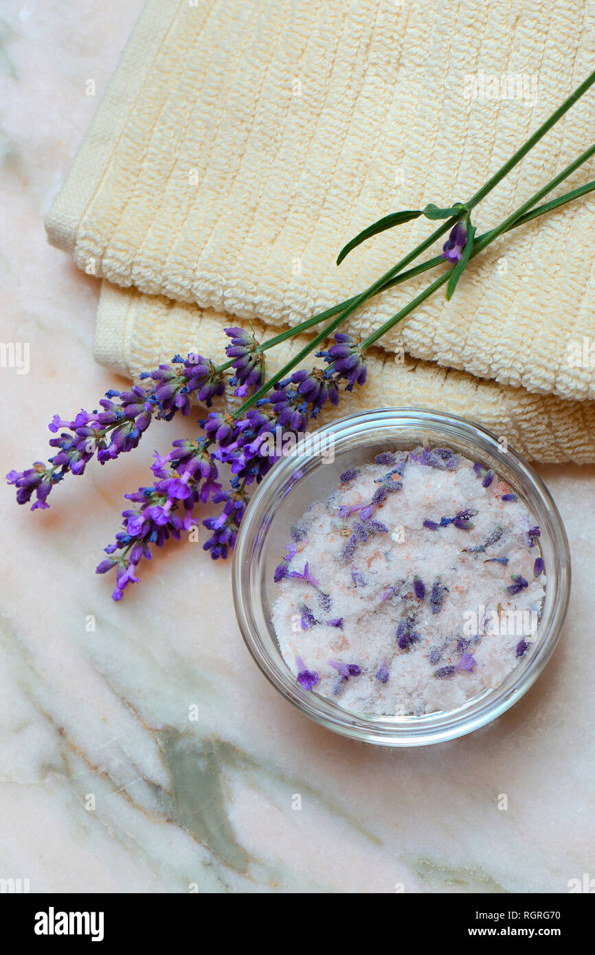 Sel de lavande, sel de mer avec des fleurs de lavande, Lavandula spec. Banque D'Images