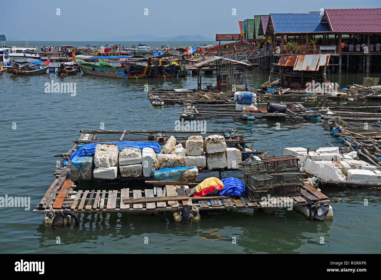 Fuer Haelterungsanlagen muslimisches Stelzendorf lebenden Fisch, Koh Panyi, Koh Panyee, Bucht von Phang Nga, Thaïlande Banque D'Images