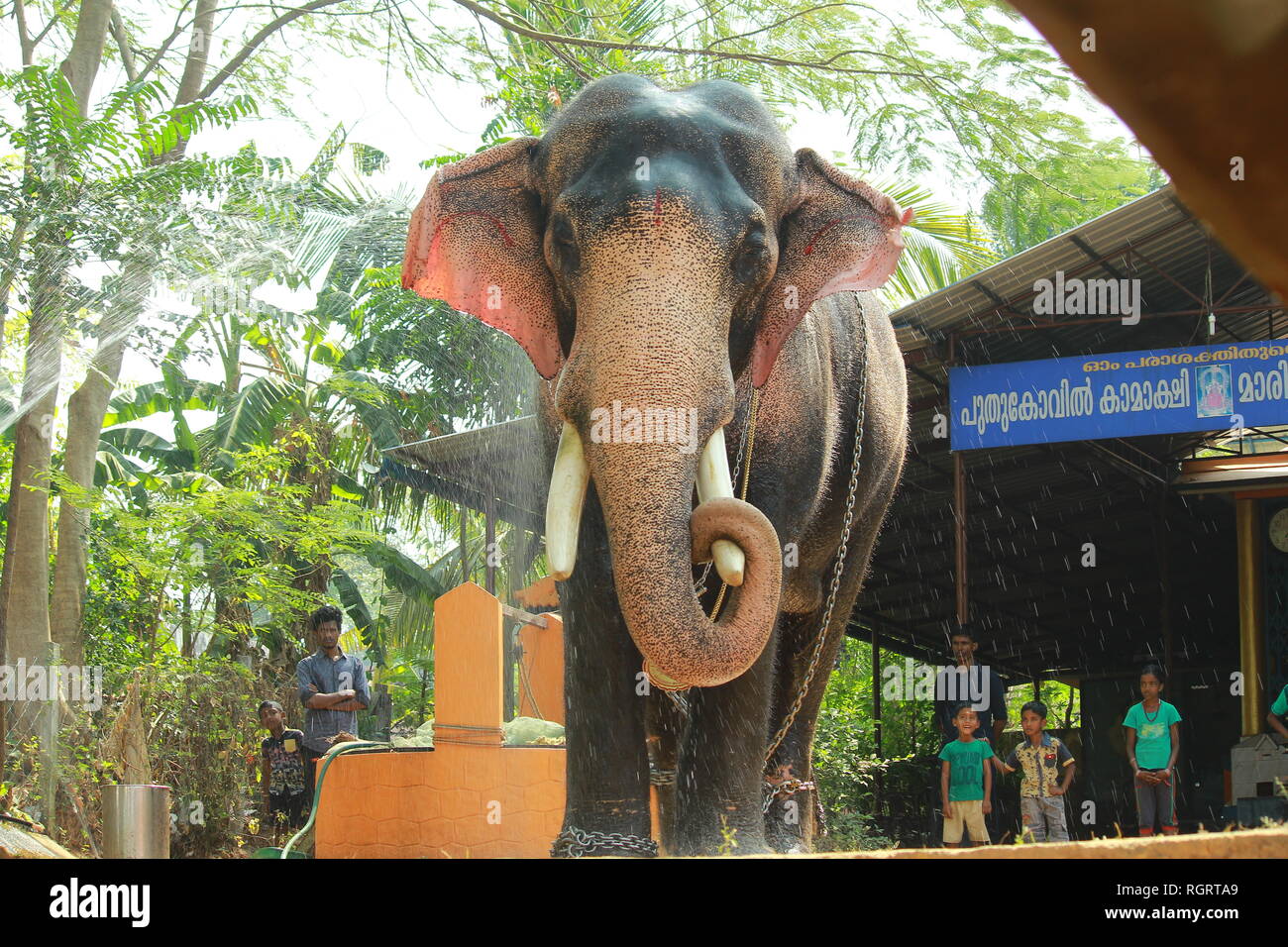 Chandrashekharan thiruvambadi Banque D'Images