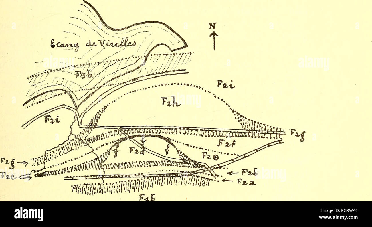 . Bulletin de la Société belge de géologie, de paléontologie et d'hydrologie. La géologie, la paléontologie. Fig. 3. - Coupe schématique à travers le récif de la Maladrie. £;2  = calcaire rouge, niveau inférieur, CL  = la phase initiale du récif. (Pour le surplus de la légende, voir page 82.). Fig. 4. - Allure planlmétrique des divans au Bois de Blaimont. fff  = faille.. Veuillez noter que ces images sont extraites de la page numérisée des images qui peuvent avoir été retouchées numériquement pour plus de lisibilité - coloration et l'aspect de ces illustrations ne peut pas parfaitement ressembler à l'œuvre originale.. Société belge de g Banque D'Images