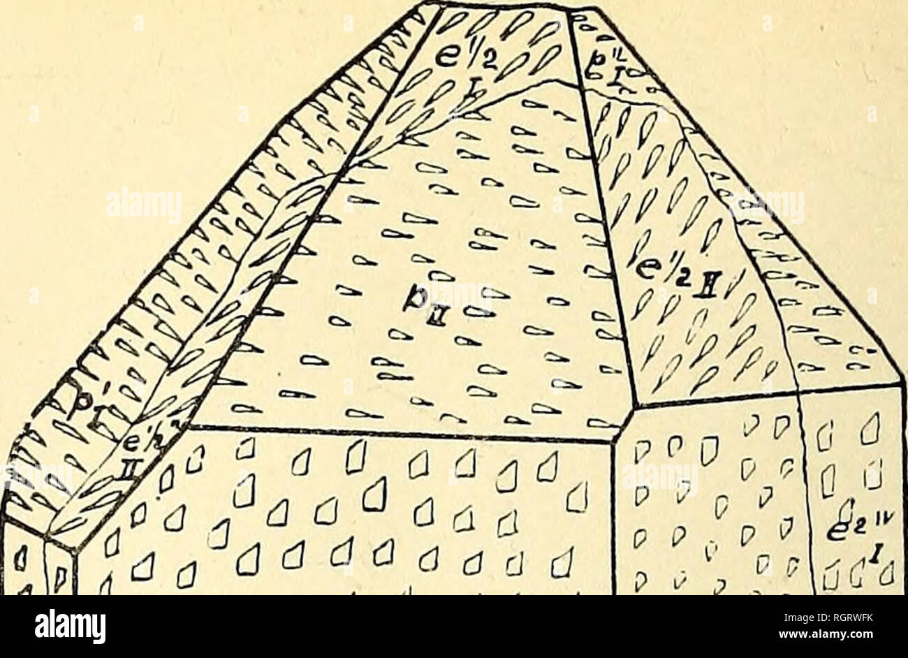 Bulletin De La Socia C Ta C Belge De Ga C Ologie De Pala C Ontologie Et D Hydrologie La Geologie La Paleontologie P Pi F Pcp Pc N C C Gt C Cp P H A A A