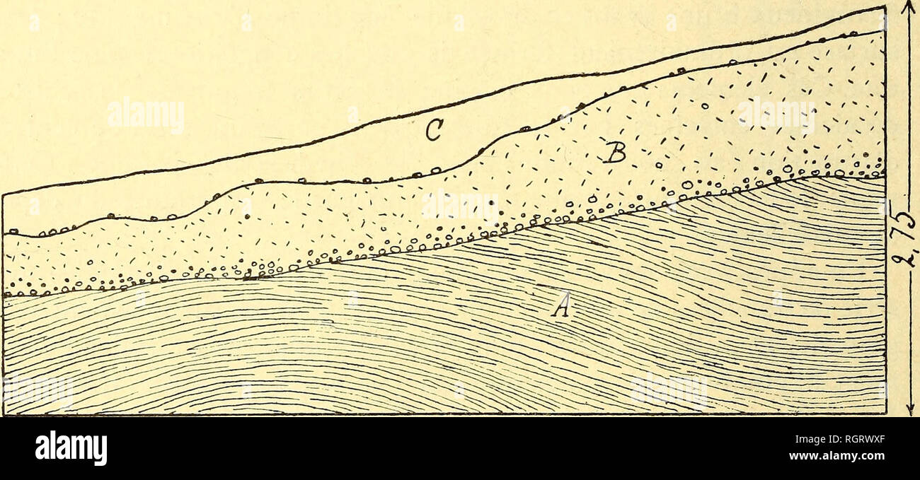 . Bulletin de la SociÃ©tÃ© belge de gÃ©ologie, de palÃ©ontologie et d'hydrologie. La géologie, la paléontologie. 74 J- CORNET. Â LES DÃPOTS SUPERFICIELS ET 25 FÃV1 rouge pourpre, puis passant Ã une argile brun clair ou bigarrÃ©e de rouge et de brun. La mÃªme stratification reste visible dans les parties les plus Ã®tement transformÃ©es. Au-dessus du poudingue et des schistes altÃ©rÃ©s, s'Ã©tendent partout le manteau de limon jaune avec grenaille limonitique et cailloux rema- niÃ©s, surtout abondants vers la base. T,es cailloux roulÃ©s remaniÃ©s (quartz, quartzite, granit) se voient aussi dans les al Banque D'Images
