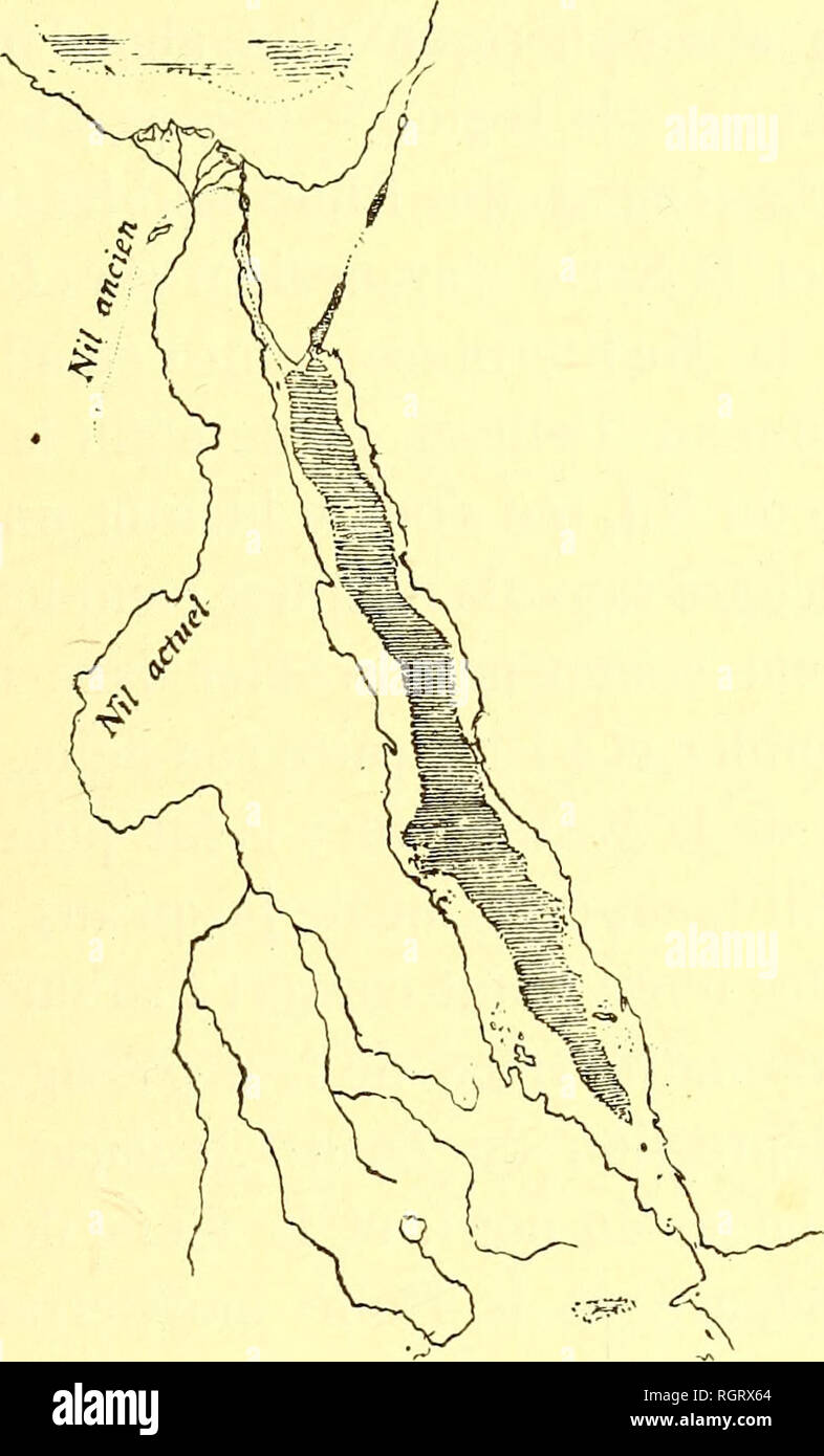 . Bulletin de la SociÃ©tÃ© belge de gÃ©ologie, de palÃ©ontologie et d'hydrologie. La géologie, la paléontologie. ET LA FORMATION DE LA MER ROUGE. 73 tion ne serait guÃ®re possible aujourd'hui, mais qui s'explique en admettant l'existence d'un ancien courant trà¨s rapide (1). 5"" Le Nil a continuÃ© mÃªme pendant la pÃ©riode ne¨postpliocÃ Ã ver- ser une partie de ses eaux dans la mer Rouge. Son adoption est accusÃ© Ã Chalouf-el-Terraba par des bancs trà s¨Ã©pais Ã '^Etheria Caillaudi en lieu et des alluvions contenant des ossements d'hippopotame, des restes de poissons, des coquilles fluvia Banque D'Images