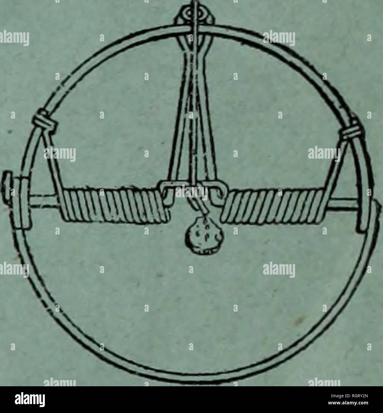 . Bulletin de la Société nationale d'acclimatation de France. Histoire naturelle ; Zoologie. fl i I<iÇça iTias^.ï ;. T'iio des Mniies. S. et pliice-Oppomt te Sui ii u ne. a. r*ari. Veuillez noter que ces images sont extraites de la page numérisée des images qui peuvent avoir été retouchées numériquement pour plus de lisibilité - coloration et l'aspect de ces illustrations ne peut pas parfaitement ressembler à l'œuvre originale.. Société nationale d'acclimatation de France. Paris : au siége de la Société Banque D'Images