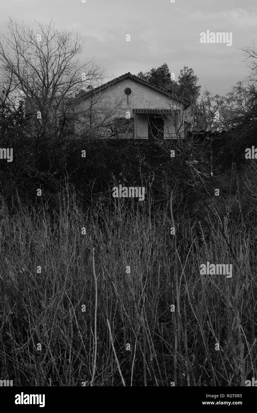 Maison hantée abandonnée dans les bois obscurci par les plantes flétries envahie. Noir et blanc. Banque D'Images