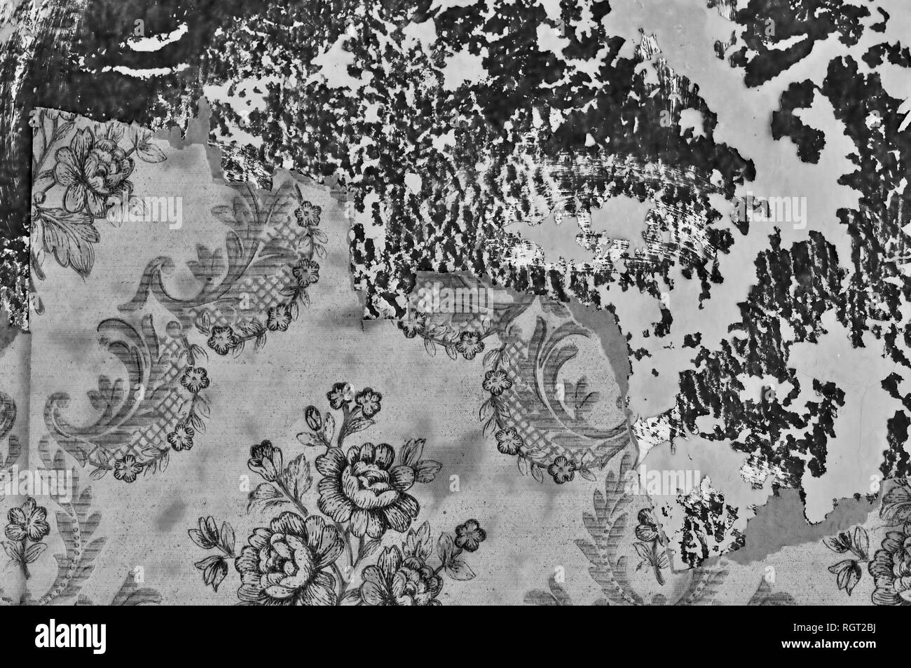 Papier peint vintage déchiré sur la formation rocheuse de la peinture murale. Noir et blanc. Banque D'Images