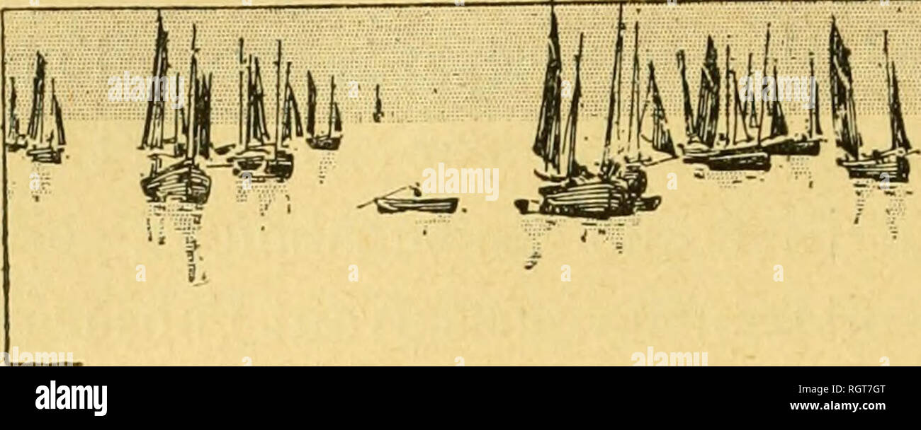 . Bulletin biologique de la France et de la Belgique. Biologie ; l'histoire naturelle. . Veuillez noter que ces images sont extraites de la page numérisée des images qui peuvent avoir été retouchées numériquement pour plus de lisibilité - coloration et l'aspect de ces illustrations ne peut pas parfaitement ressembler à l'œuvre originale.. L'Université de Paris. Laboratoire d'évolution des êtres organisés. Montreuil [etc. ] [Gauther-Villars etc. ] Banque D'Images