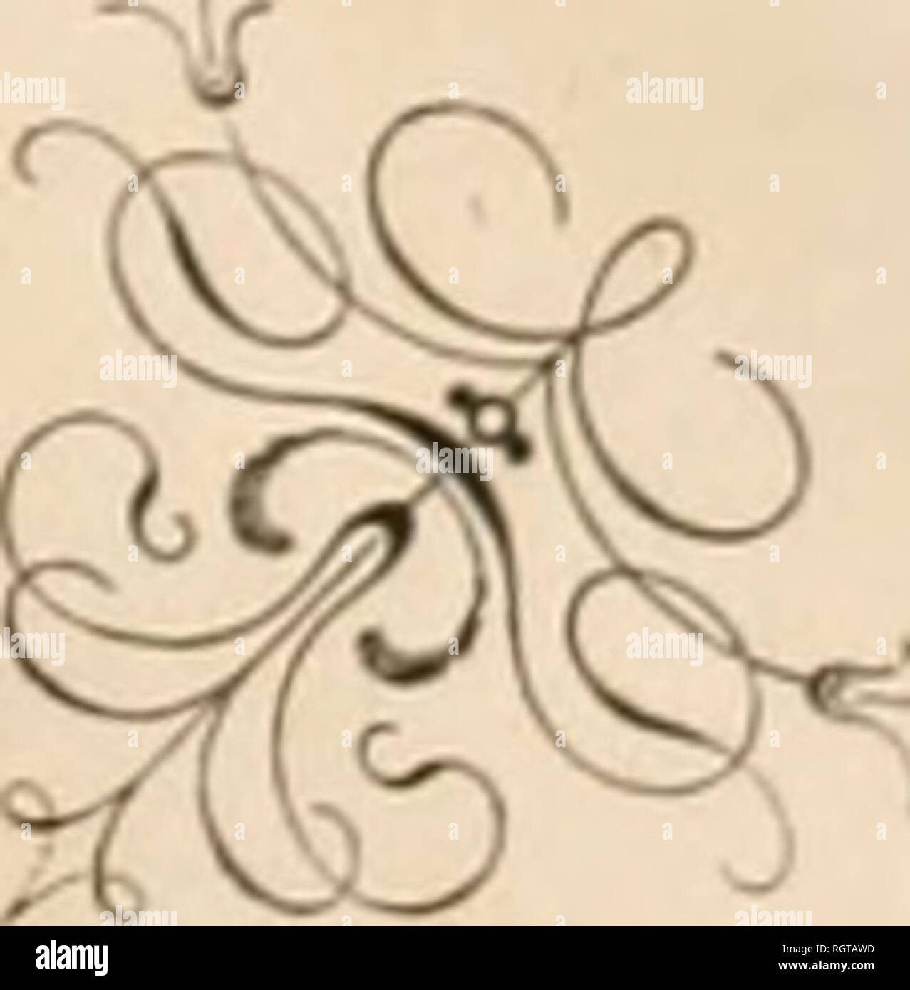 . Bulletin de l'Acadmie impriale des sciences de St.-Ptersbourg. La science ; la science -- Union soviétique. DE L'JlCjinEMlE SCIEKES IlllFERIiLE DES DE ST.-PETERSDOIUG. TOiUK m. (Feutlks contehd 1âC.) : Pagi-. J. Somof, Note sur l'attraction exercÃ©e par une couche matÃ©rielle trà¨s mince sur un point de sa surface 1â5 M. Brosset, VariÃ©tÃ©s gÃ©orgiennes 5â19 P. hostytsclief et 0. Marggral'. Composition chimique des Ã©ponges fossiles des apatites du terrain crayeux de la Kussie 19â20 J. F. Brandt, Classification des SirÃ©niens 21â23 Heliiiersen G. V., coquilles marines trouvÃ©es dans les sables de Kara- Banque D'Images