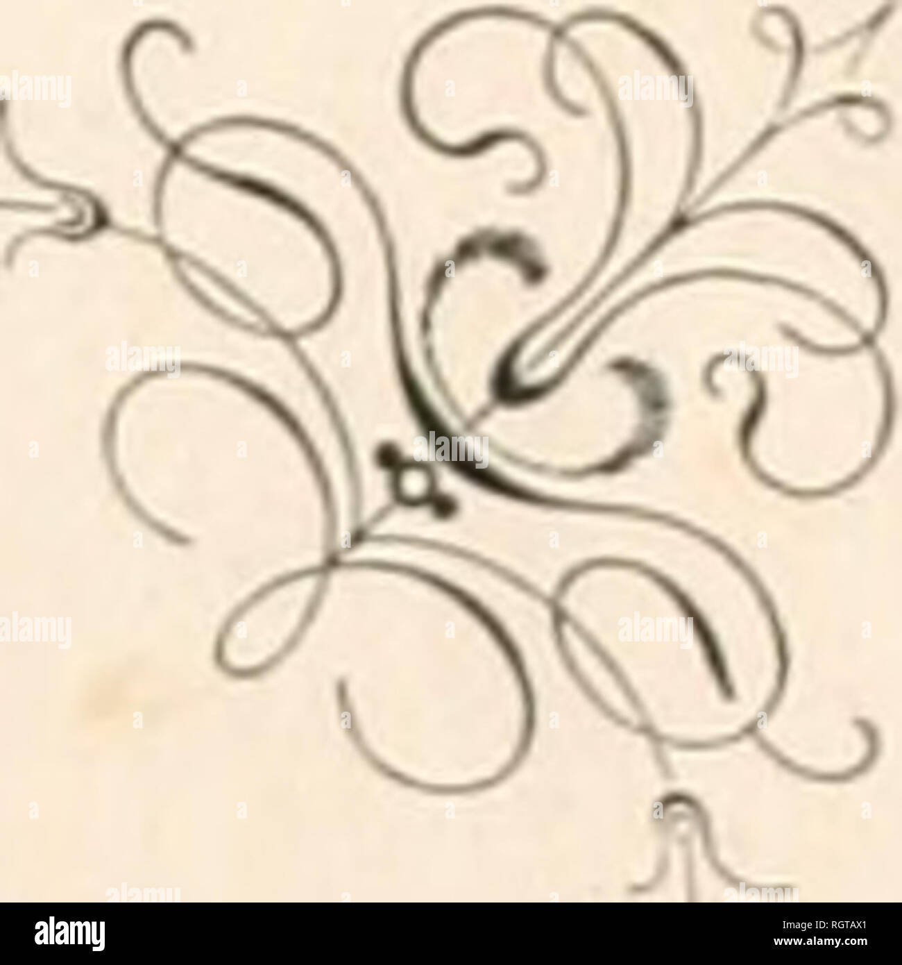 . Bulletin de l'Acadmie impriale des sciences de St.-Ptersbourg. La science ; la science -- Union soviétique. BULLETIN. DE L'JlCjinEMlE SCIEKES IlllFERIiLE DES DE ST.-PETERSDOIUG. TOiUK m. (Feutlks contehd 1âC.) : Pagi-. J. Somof, Note sur l'attraction exercÃ©e par une couche matÃ©rielle trà¨s mince sur un point de sa surface 1â5 M. Brosset, VariÃ©tÃ©s gÃ©orgiennes 5â19 P. hostytsclief et 0. Marggral'. Composition chimique des Ã©ponges fossiles des apatites du terrain crayeux de la Kussie 19â20 J. F. Brandt, Classification des SirÃ©niens 21â23 Heliiiersen G. V., coquilles marines trouvÃ©es dans les sable Banque D'Images