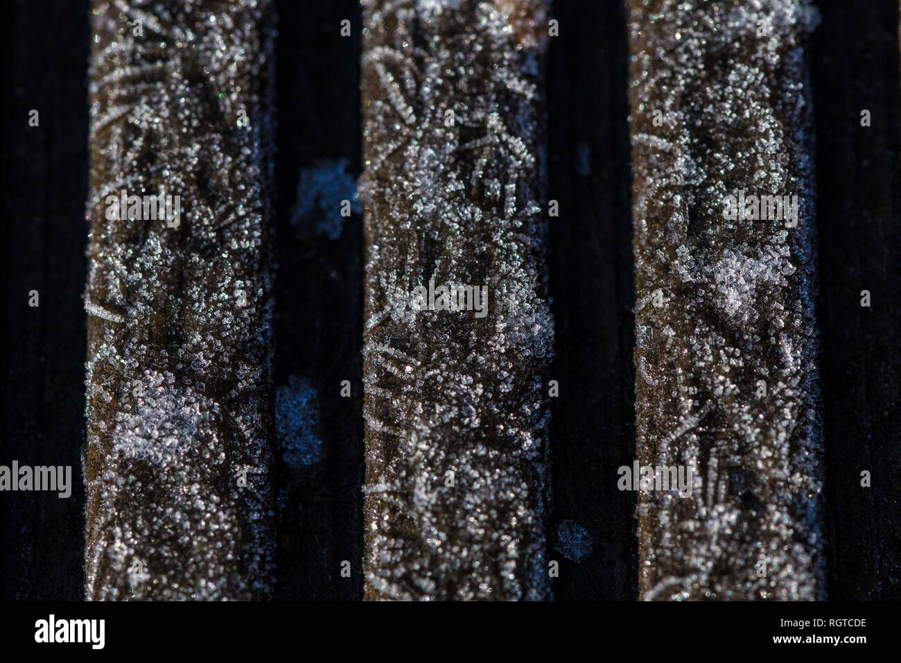 Close-up d'hiver gel sur terrasse en bois, UK Banque D'Images