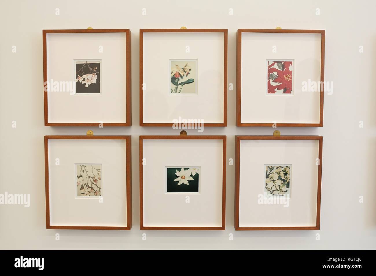 ANDY WARHOL PHOTOS POLAROID 2 Février - 13 avril 2019 BASTIAN , , Londres Banque D'Images