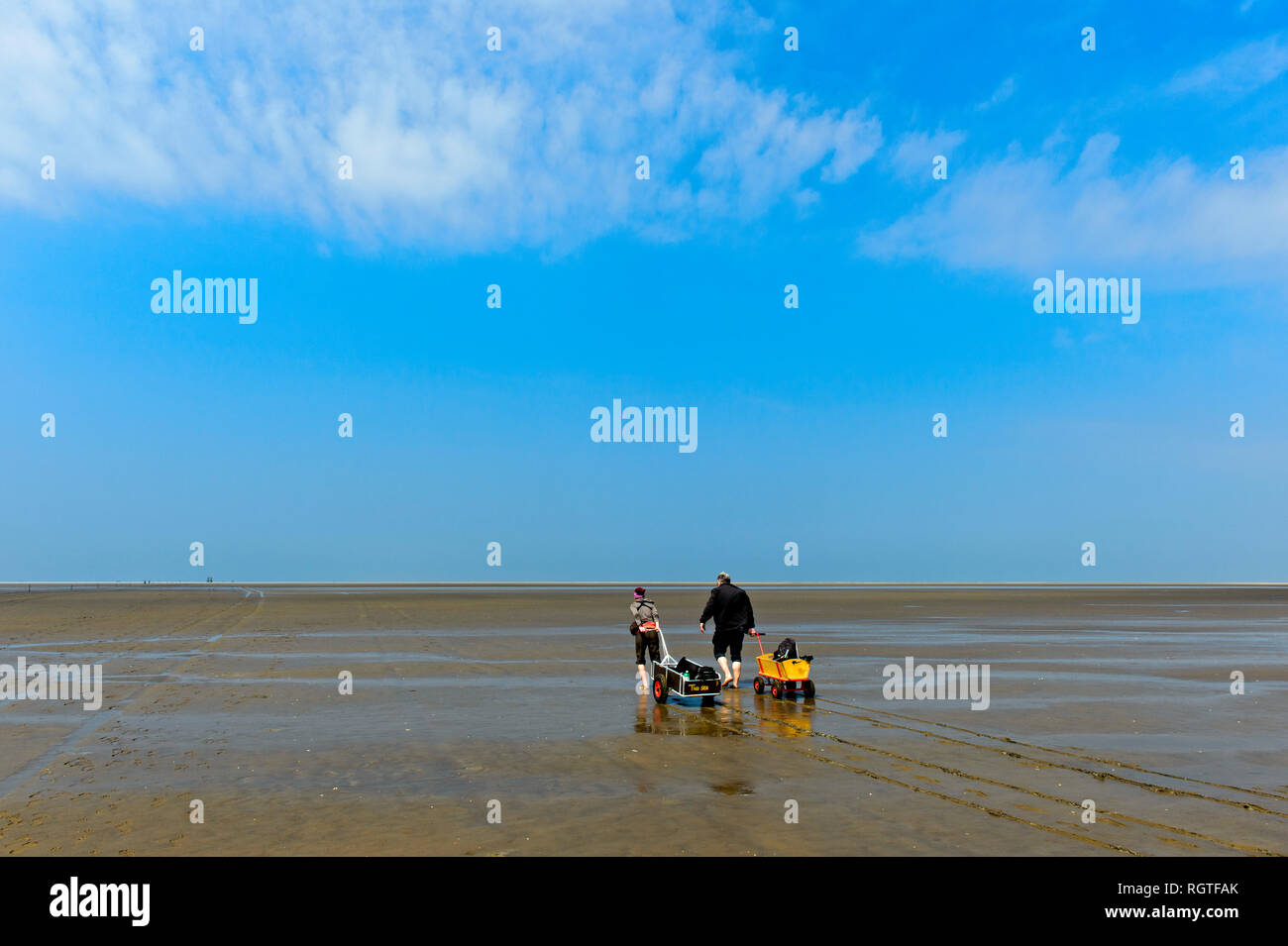 Les piétons tirant une charrette à travers la mer des Wadden, Schleswig-Holstein mer des Wadden Parc National, Büsum, Schleswig-Holstein, Allemagne Banque D'Images