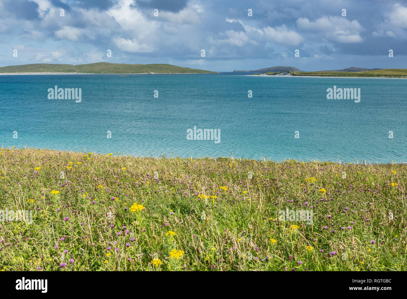 Seascape idyllique avec wildflower Meadow, à l'île de Barra, îles Hébrides, Ecosse, Royaume-Uni Banque D'Images