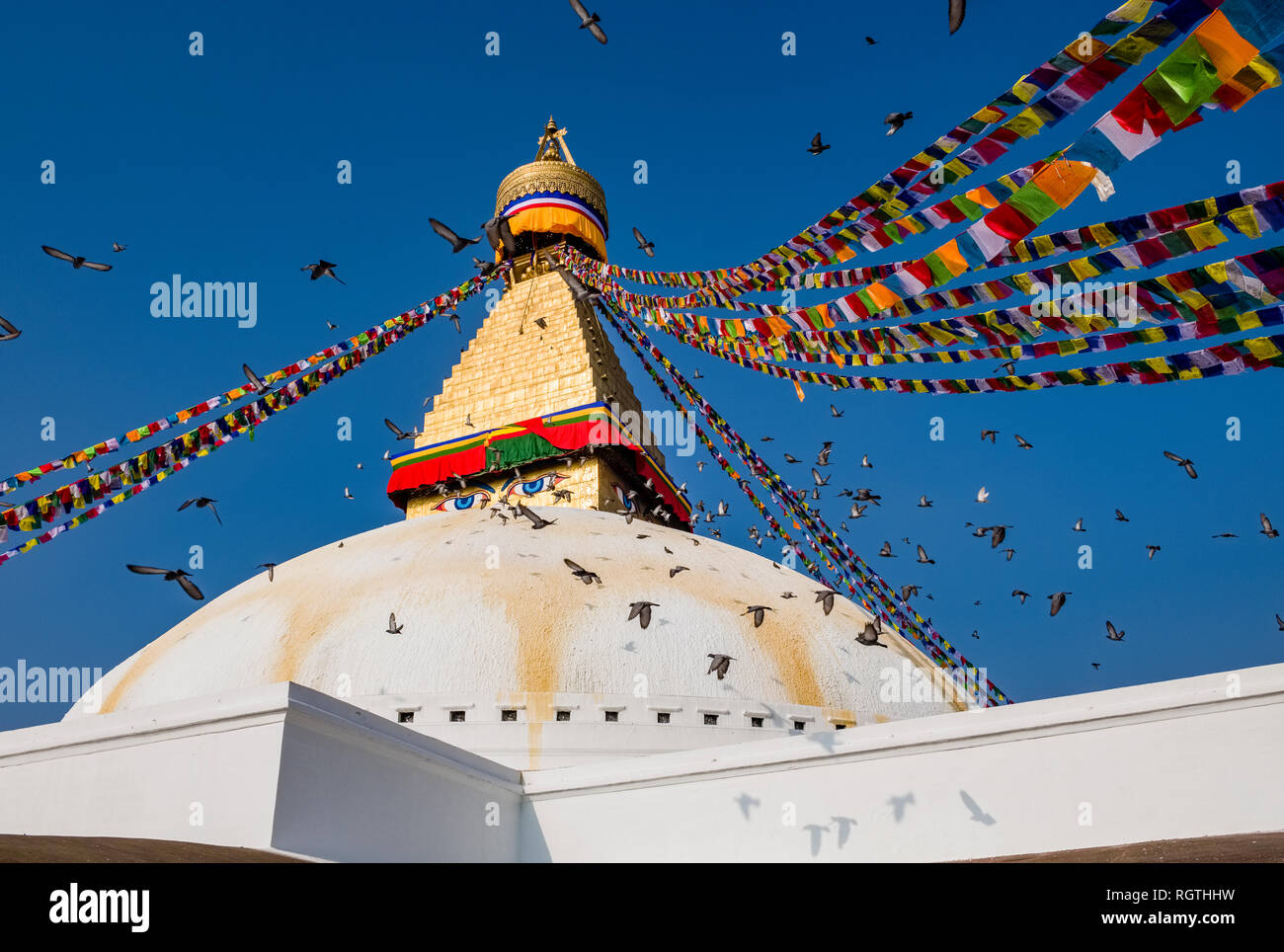 Une nuée de pigeons voler autour du grand stupa avec des drapeaux de prière flottant en Boudha avec maisons environnantes Banque D'Images