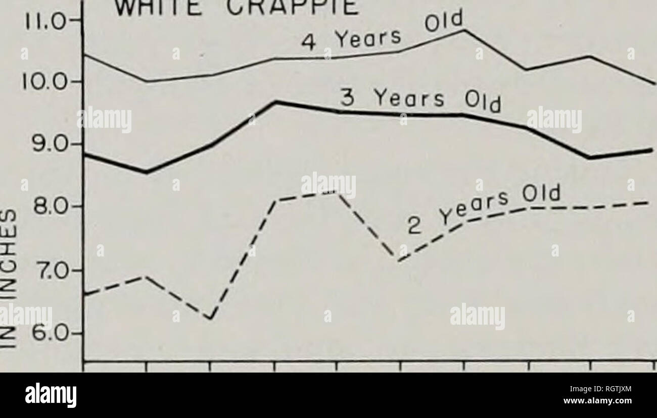 . Bulletin. Histoire naturelle ; l'histoire naturelle. Illinois Natural History Survey Bulletin 29, Art.1 15 et Fig. 34). Les 2 ans de mariganes noires blanc 1950-1952 avaient de plus petites longueurs av- moyenne que les 2 ans d'une autre année de notre étude. Les 2 ans de 1953 a montré un poisson de drastique du taux de croissance (mesurée par la marigane blanche. 2 6,0 l&amp;O-, 9,0- 7,0- 6,0- eo- 1950 1952 1954 1956 1958 de la marigane noire ^ yeors ----.L^^ 1954 °1' 1956 1958 nous n'avons pas trouvé que toute corrélation ( ;"^-0.16) existe entre les indices de croissance de 3 et 4 ans, white crap- pies et le lac Chautau Banque D'Images