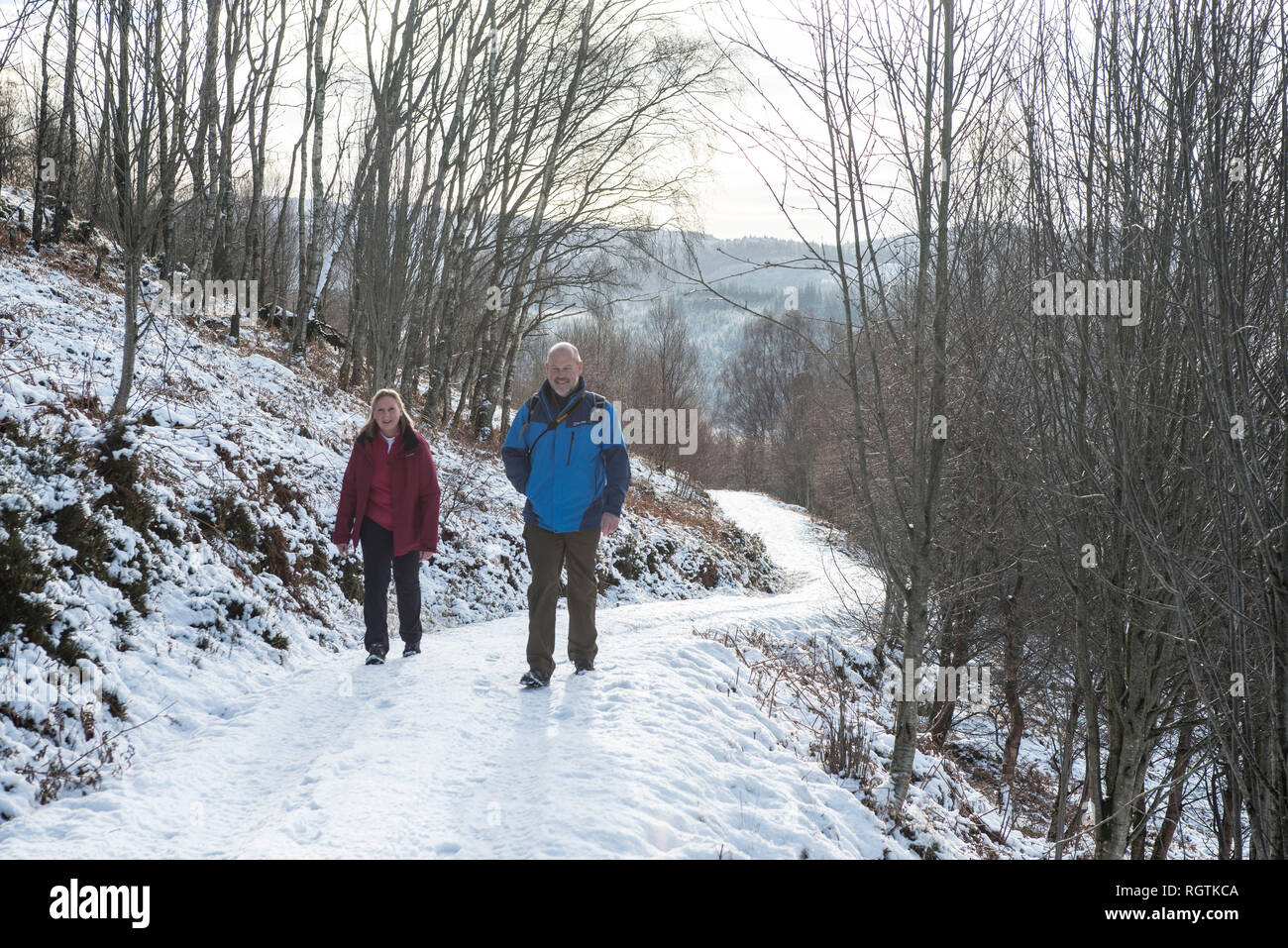 Glen Finglas Woodland Trust réserver Loch Lomand et le parc national de Scotlandl Trossacks Banque D'Images