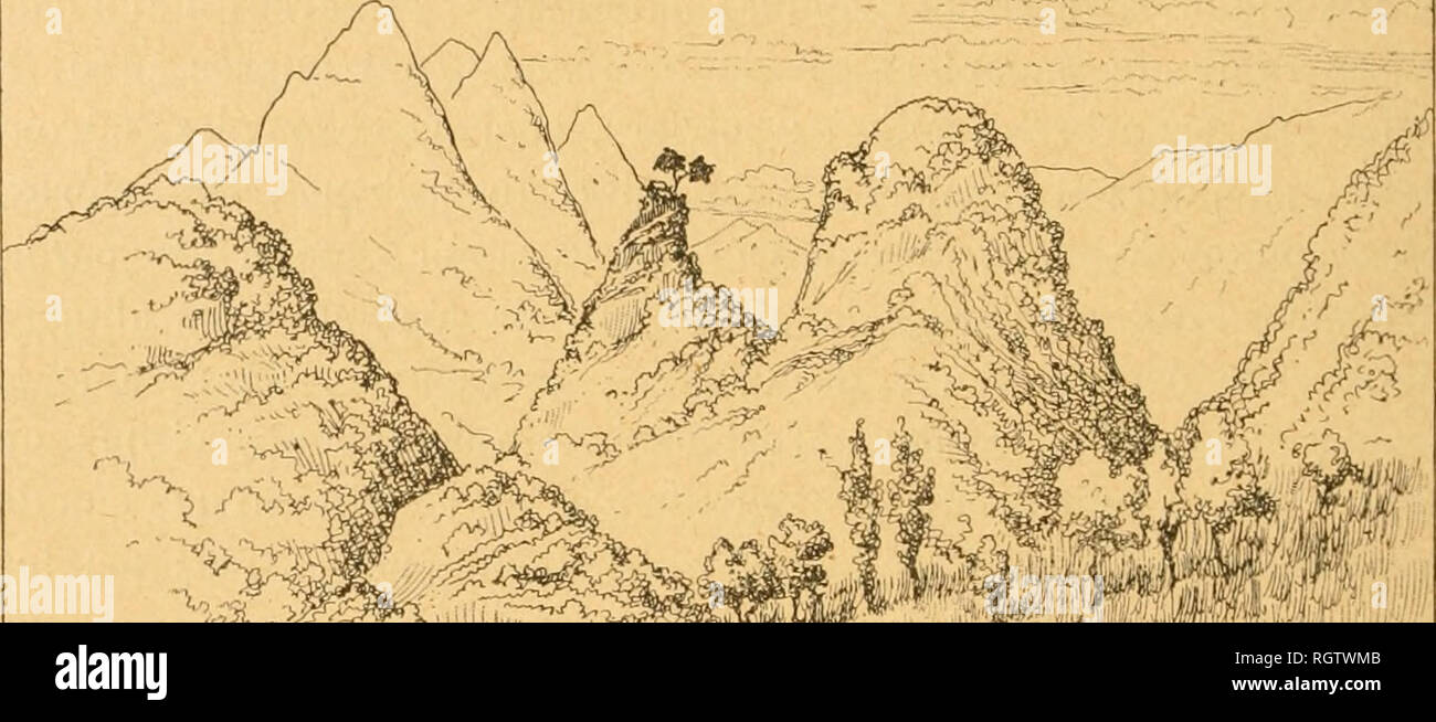 . Bulletin biologique de la France et de la Belgique. Biologie ; l'histoire naturelle. 38 ALBERT BILLET. Rochers isolÃ©s pour inantrcfuiÃ¯- es. par les habiants , comme lieux de refuge, contre une agression brusque de la part de pirates, de dos et d'oÃ¹ ils peuvent se dÃ©fendre en attendant des secours. Rien n'est pittoresque comme certains de ces rochers, qui paraissent inaccessibles et sont couverts d'une vÃ©gÃ©tation exubÃ©rante. Au sommet, sur aperÃ§oit quelques construc- tions lÃ©gÃ¨res en bambous. LÃ encore, comme pour ces villages suspendus à la paroi des falaises calcaires que j'ai dÃ©crits plus haut Banque D'Images