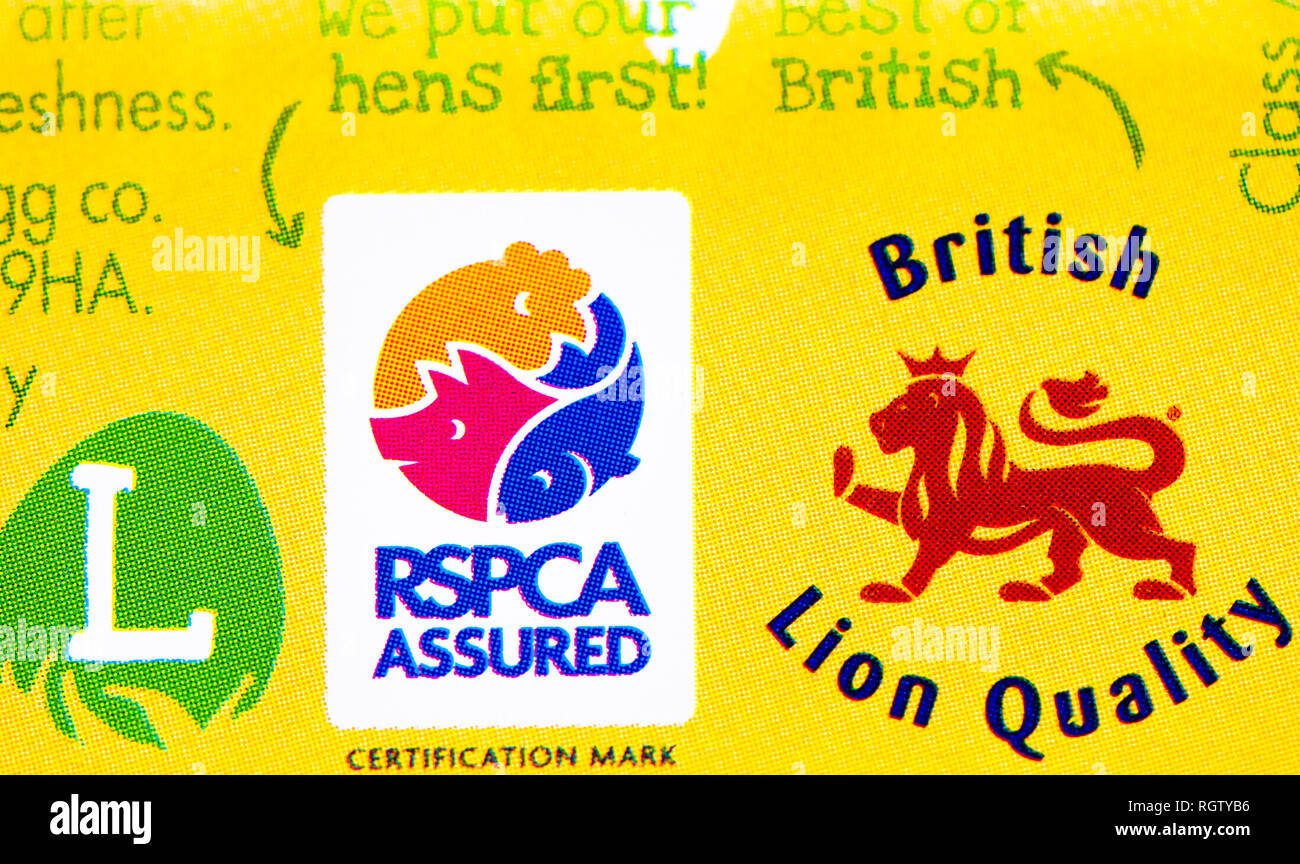 La boîte à œufs oeufs heureux co. estampillés avec le lion britannique qualité et la RSPCA assuré logo. Banque D'Images