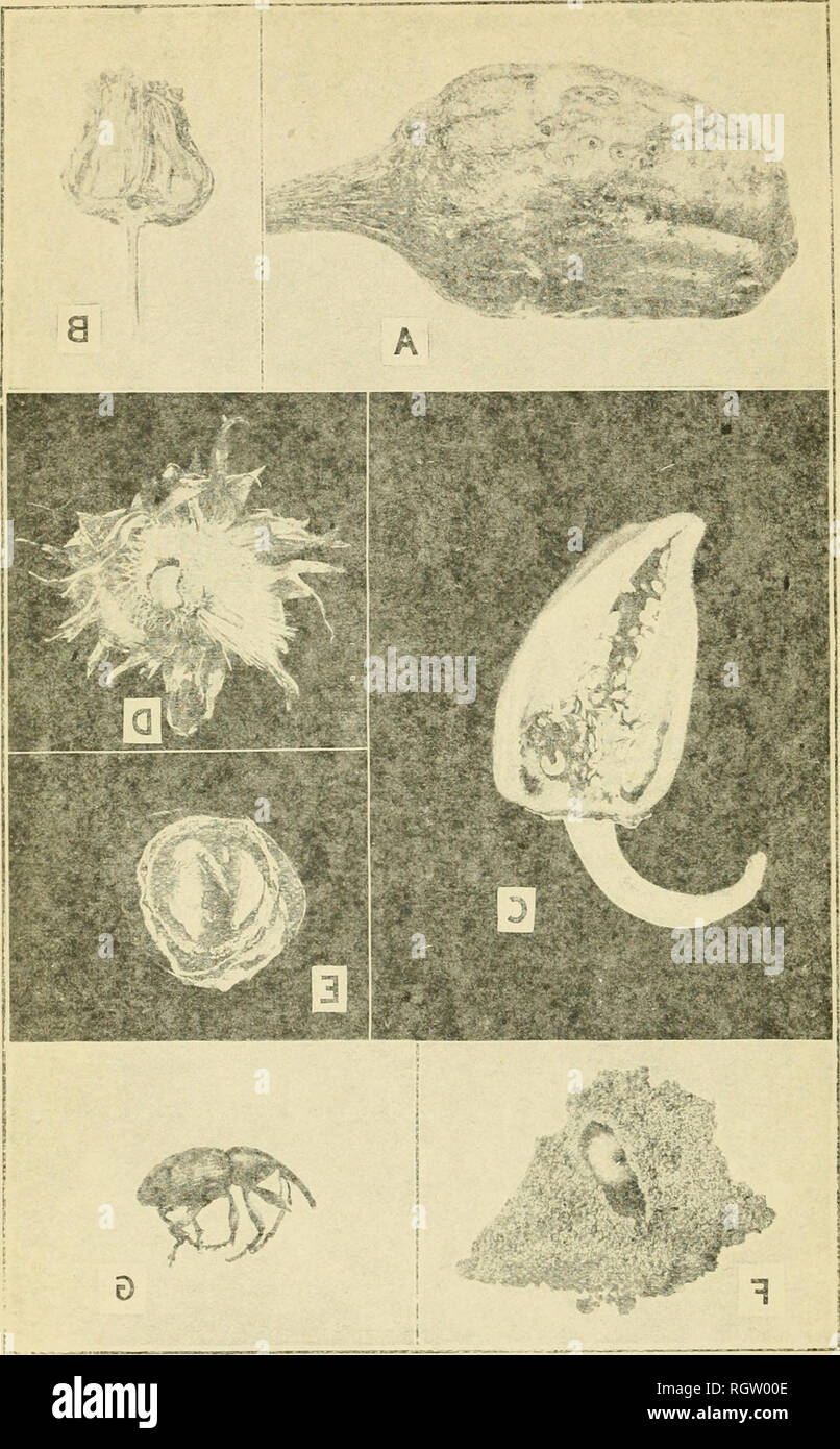 Ws 51 Banque D Image Et Photos Alamy Ws 51 Banque D Image Et Photos Alamy