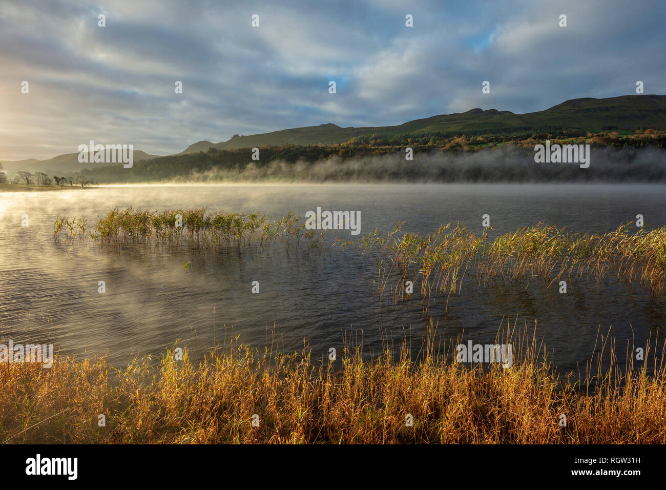 Morning Mist sur Glencar Lake, Comté de Sligo, Irlande. Banque D'Images