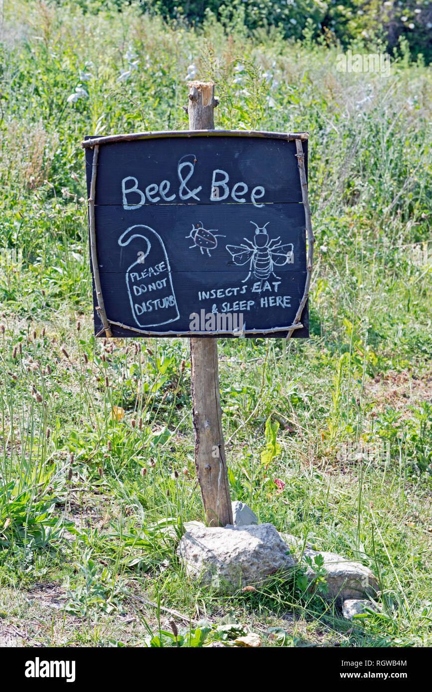 Bee & Bee d'affichage en face de l'habitat des terres humides de l'insecte, Walthamstow, London Borough of Walthams Forest, Angleterre, Grande-Bretagne, Royaume-Uni Banque D'Images