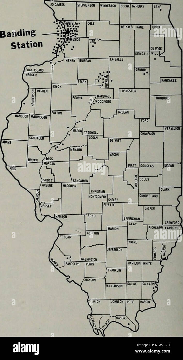 . Bulletin. Histoire naturelle ; l'histoire naturelle. 188 Illinois Natural History Survey Bulletin 30, l'article 3 Tableau 9. - Mallard indirecte des récupérations, 1947-1950, par degré de longitude moyenne et son écart-type tor le degré de latitude (42°-43°) v/ici bandes au printemps le lac, Carroll County, Illinois. Situé à la station de baguage à environ 90,1° de longitude.^ année nombre standard de degré moyen de degrés de longitude de recouvrements d'écart des recouvrements de ^ 1947 1948 1949 1950 Moyenne 32 90,03 0,04 1,50 90,60 13 - +0.53 1.75 13 90,17  +0,10 2,81 89,52 0,45 1,91 13 ---om ' 1 d Banque D'Images