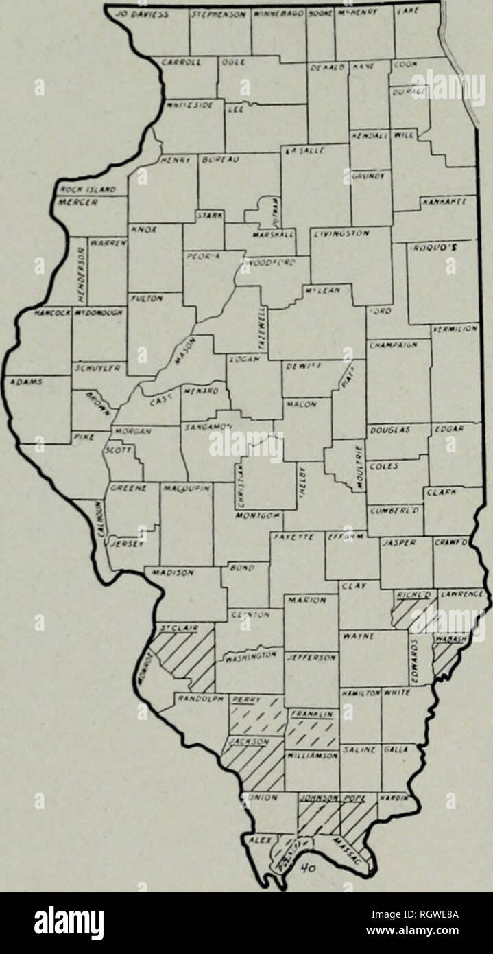 . Bulletin. Histoire naturelle ; l'histoire naturelle. 116 Xatikai l'Illinois. Histoky Siuvky lkti.Bii.n Quercus shumardii Chêne Rouge Buckley Ce chêne rouge est un grand arbre, avec une large ouverture, chef de stout, propagation des branches. Le noir-vert brillant et de feuilles, de 6 à 8 pouces de long par 4 à 5 de large, qui sont plus pâles en dessous et dotées de touffes de poils pâles à l'aisselle de leurs veines, sont profondément divisées en 7, moins souvent 5, lobes. Les minces, les pétioles glabres sont 2 à 2^/^ pouces de long. Le staniinate sont les chatons de 6 ou 7 pouces de long, et les fleurs pistillées stand individuellement sur des tiges velues. L'ovale-ac Banque D'Images