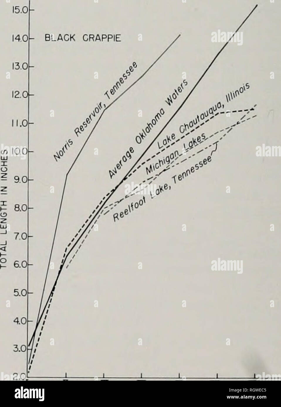 . Bulletin. Histoire naturelle ; l'histoire naturelle. 34 Illinois Natural History Survey Bulletin 29, Art. 1 140 13,0 12,0 11,0 100 9,0 80 S O I I I 7.0 ^ 6 0 o 50 4 0 3,0 2,0 - ^^ ^â 'X marigane blanche '"' /  , '' y^ / ^^'' - un ia"/ 7^'-" â€-' / / .â â ' //^ » « j '/ II J II / » ^ - /'/ !/je malade $&gt ; j' ai jfi / &lt;s ri * 7* (^ 1 1 , , 1 I dans e : 2 H 5zn ÂGE Fig. 9.âGrowth de mariganes noires blanc dans le lac Chautauqua et dans certaines autres eaux des États-Unis. Le graphique est fondé sur références incluses dans le texte et le tableau 14 (sauf que la durée de 1 ans-ol Banque D'Images
