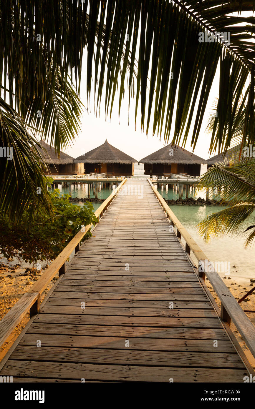 Villas de vacances sur l'atoll Rasdhoo, les Maldives Asie Banque D'Images