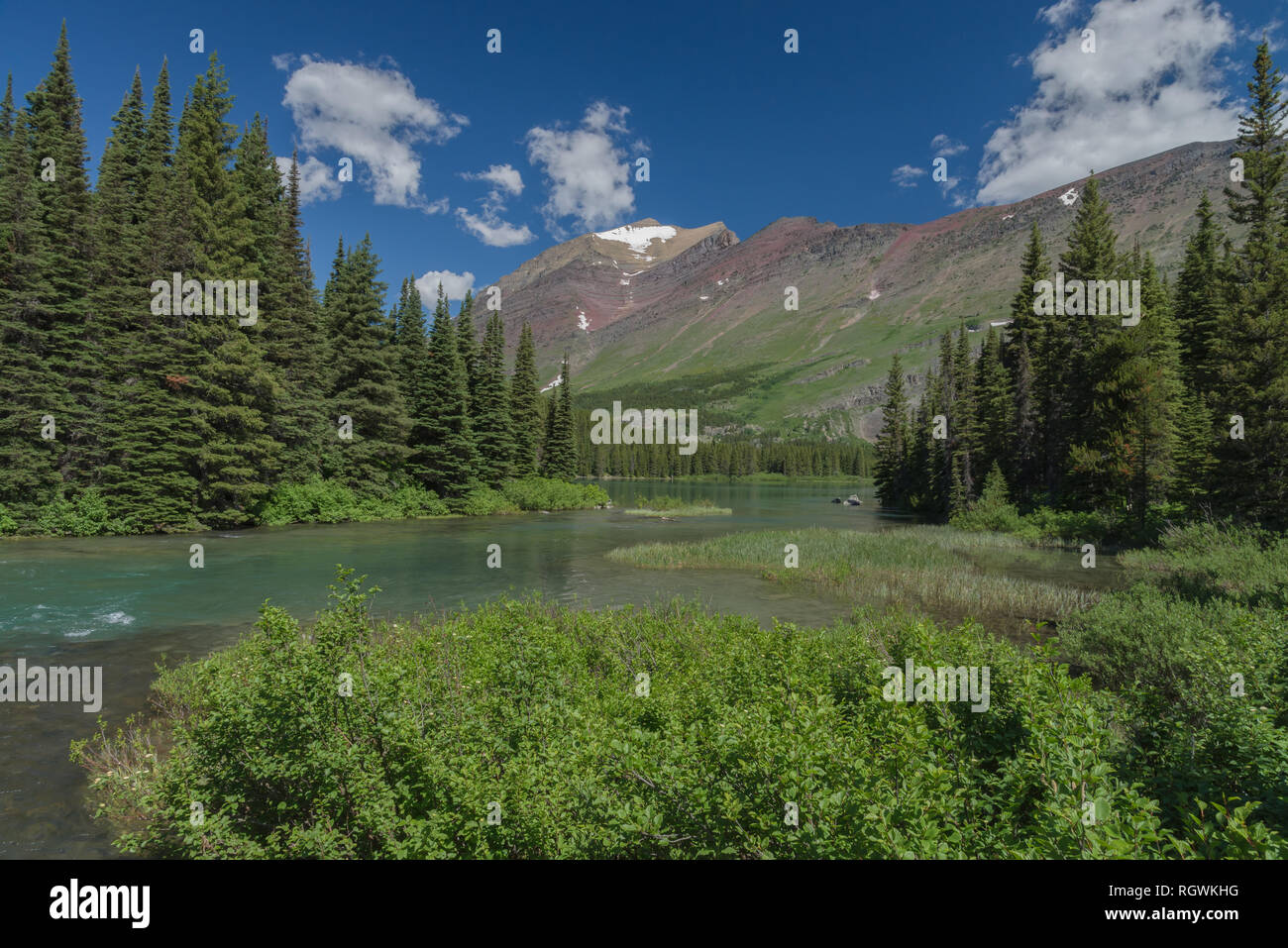 Un léger flux d'enroulement entouré de zones humides et les forêts de pins s'écoule le long d'une ligne de contreforts près de Swiftcurrent Lake sur un été parfait Banque D'Images