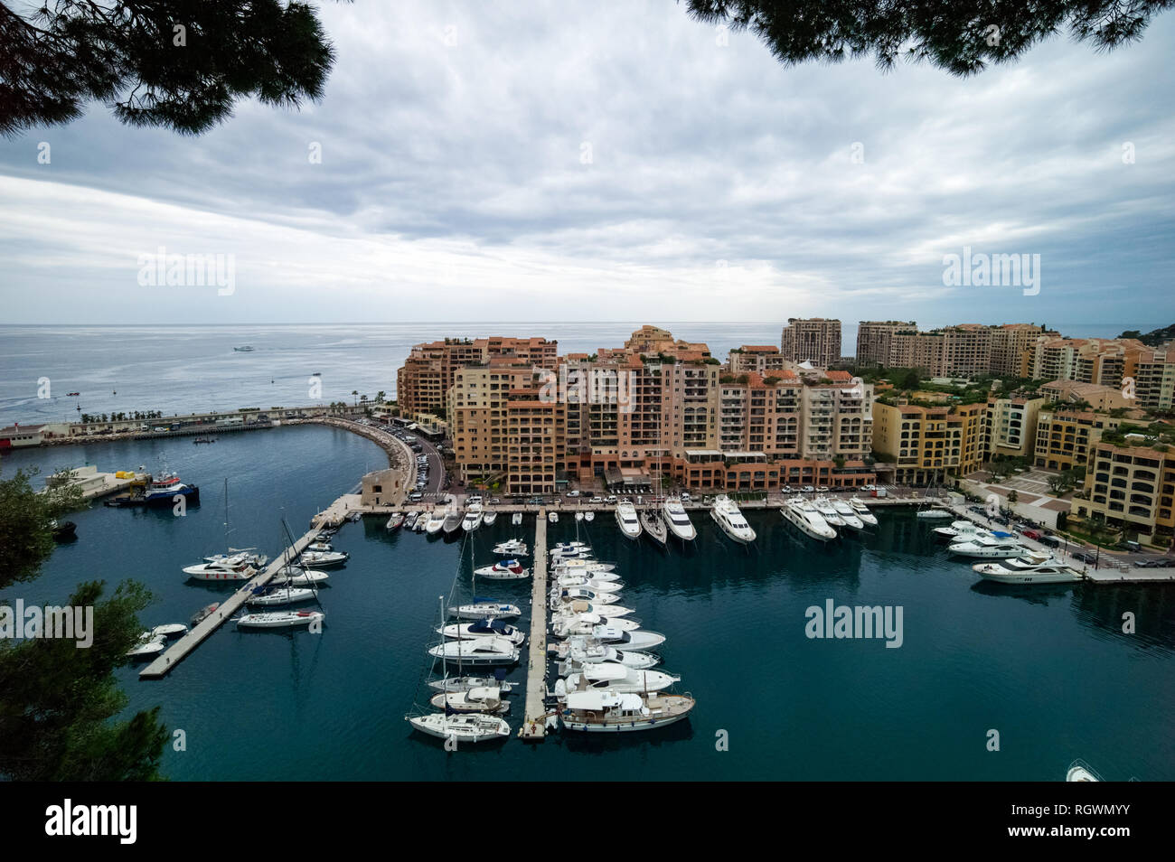 Vue (grand angle) du quartier de Fontvieille avec des arbres sur le premier plan, Principauté de Monaco Banque D'Images