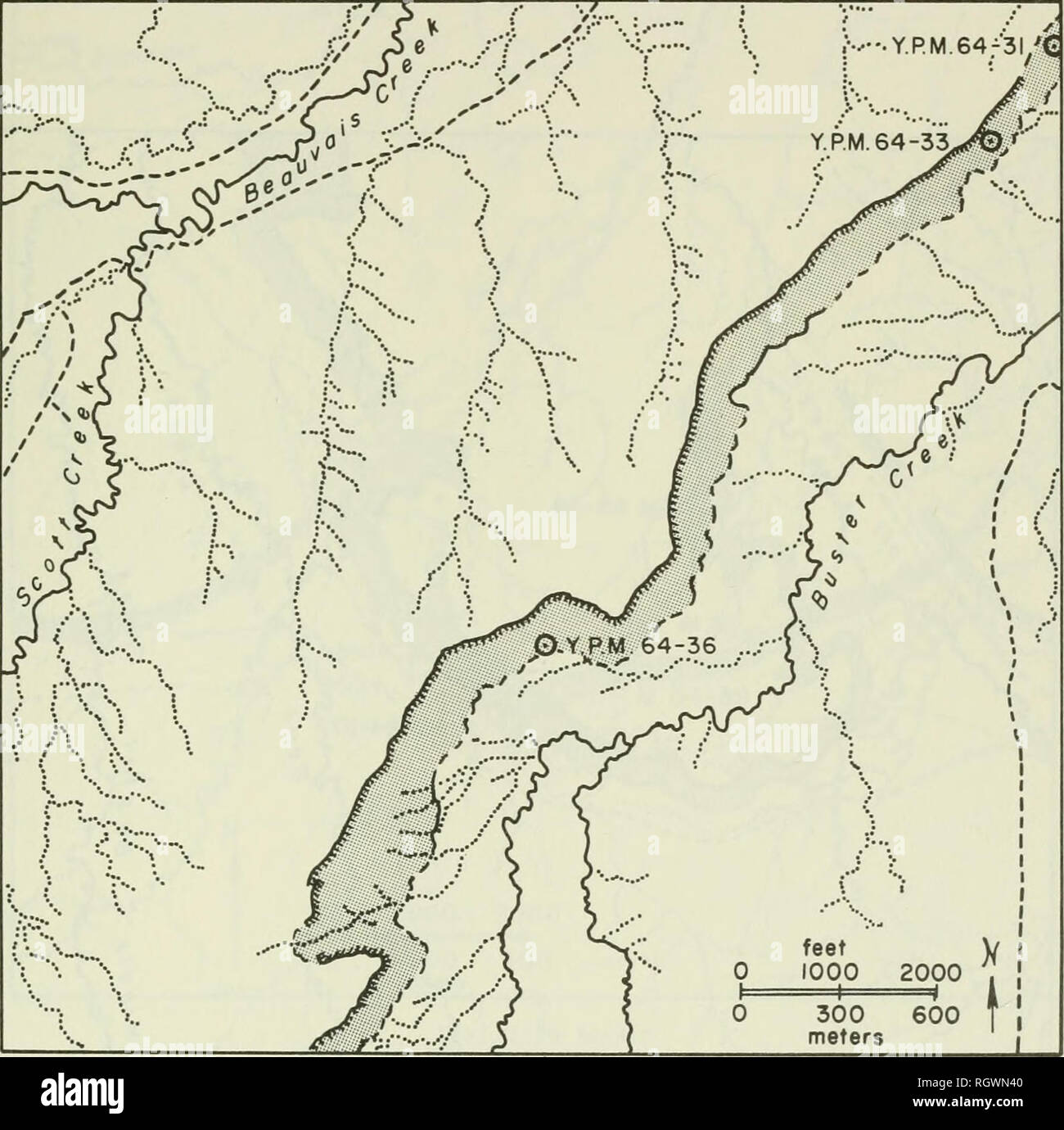 Bulletin. L'histoire naturelle. YPM 221 64-27 SE 1/4 Sec. 35, T.4 S. , R.29  E. , 300 yards (275 m) se d'YPM 64-26, Big Horn County, Montana. Voir la  carte de