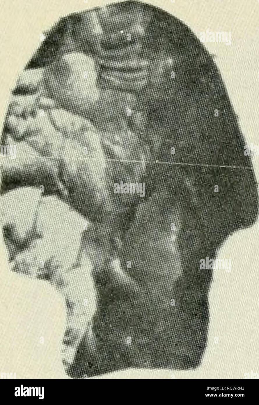 . Bulletin. De l'ethnologie. f. Veuillez noter que ces images sont extraites de la page numérisée des images qui peuvent avoir été retouchées numériquement pour plus de lisibilité - coloration et l'aspect de ces illustrations ne peut pas parfaitement ressembler à l'œuvre originale.. Smithsonian Institution. Bureau of American Ethnology. Washington : G. P. O. Banque D'Images