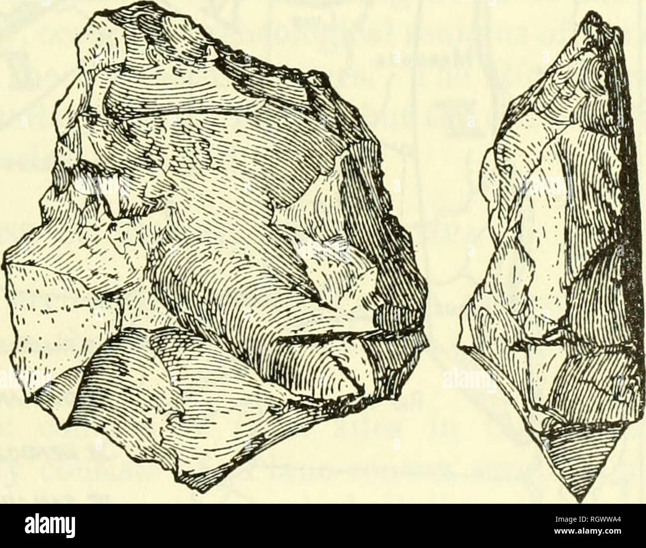 . Bulletin. De l'ethnologie. Figure 1.-copeaux-travail de la pierre de la côte de Buenos Aires. Rangée du haut : Canard-facture de racloirs Campo Peralta et Necochea. Rangée du centre et du bas (à gauche) : plano-convexe de lames Campo Peralta ( %) taille naturelle. (En bas à droite) : Noyau de quartzite de flocons qui ont été supprimés ( %) taille naturelle. (D'après Holmes, 1912, flgs. 29, 31, 27.). Veuillez noter que ces images sont extraites de la page numérisée des images qui peuvent avoir été retouchées numériquement pour plus de lisibilité - coloration et l'aspect de ces illustrations ne peut pas parfaitement ressembler à l'œuvre originale.. Smithsonian Instit Banque D'Images